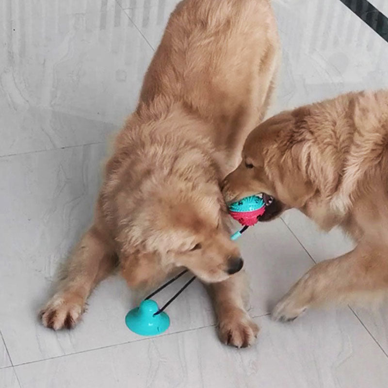 Dog Food Toys - Silicone Suction Interactive Chew Toy, Dental Cleaning Chew Brush for Puppy Teething & Pet Feeding Supplies