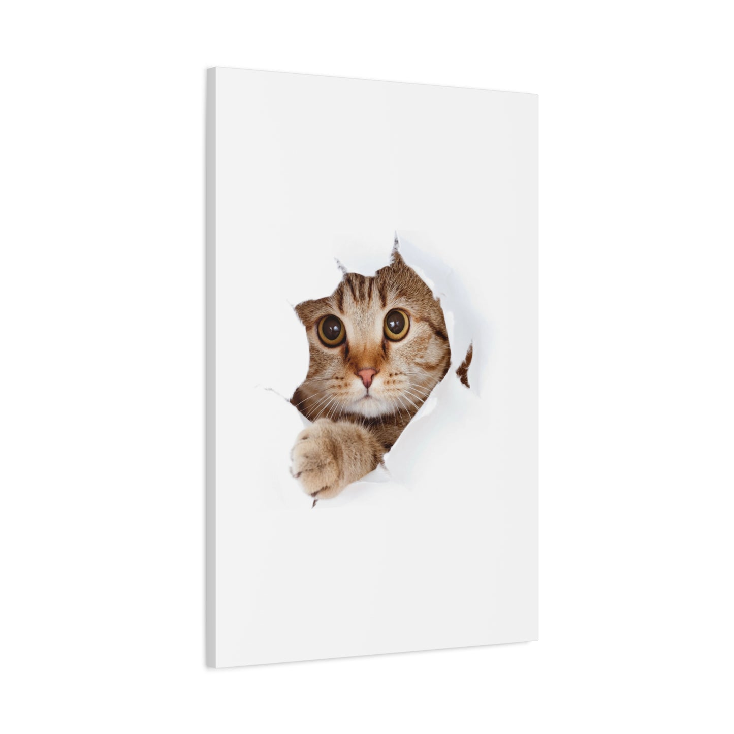 Whimsical Cat Canvas Art, Playful Decor for Cat Lovers, Home Wall Art, Pet-Themed Gift, Cute Cat Wall Art, Cat Lover's Decoration