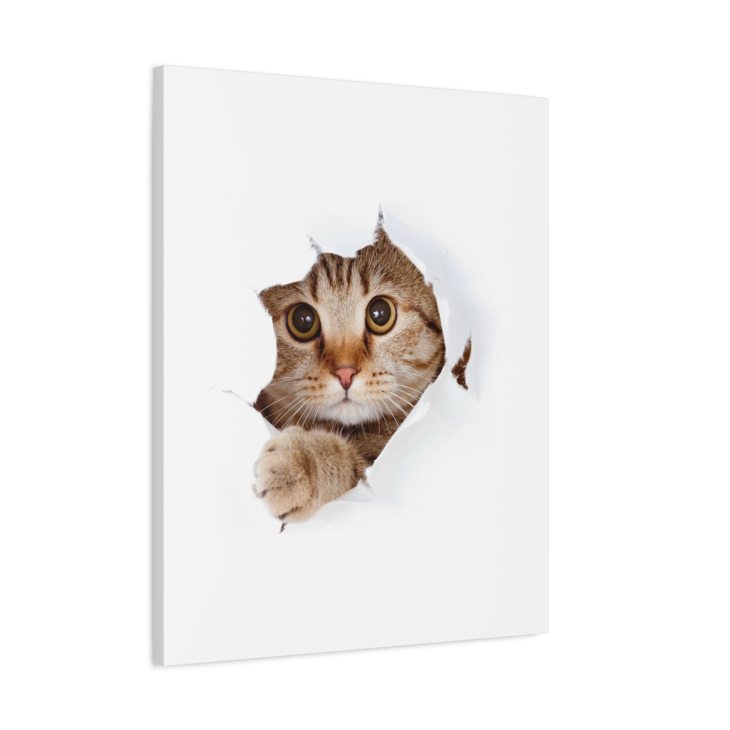 Whimsical Cat Canvas Art, Playful Decor for Cat Lovers, Home Wall Art, Pet-Themed Gift, Cute Cat Wall Art, Cat Lover's Decoration