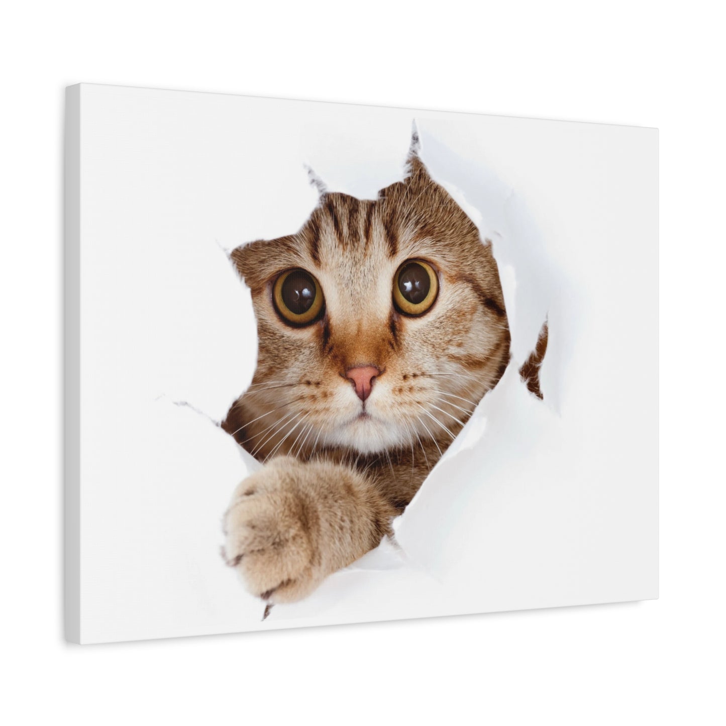 Whimsical Cat Canvas Art, Playful Decor for Cat Lovers, Home Wall Art, Pet-Themed Gift, Cute Cat Wall Art, Cat Lover's Decoration