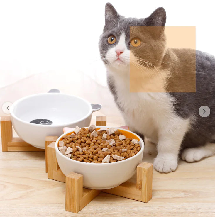 Binaural Design Ceramic Pet Bowl