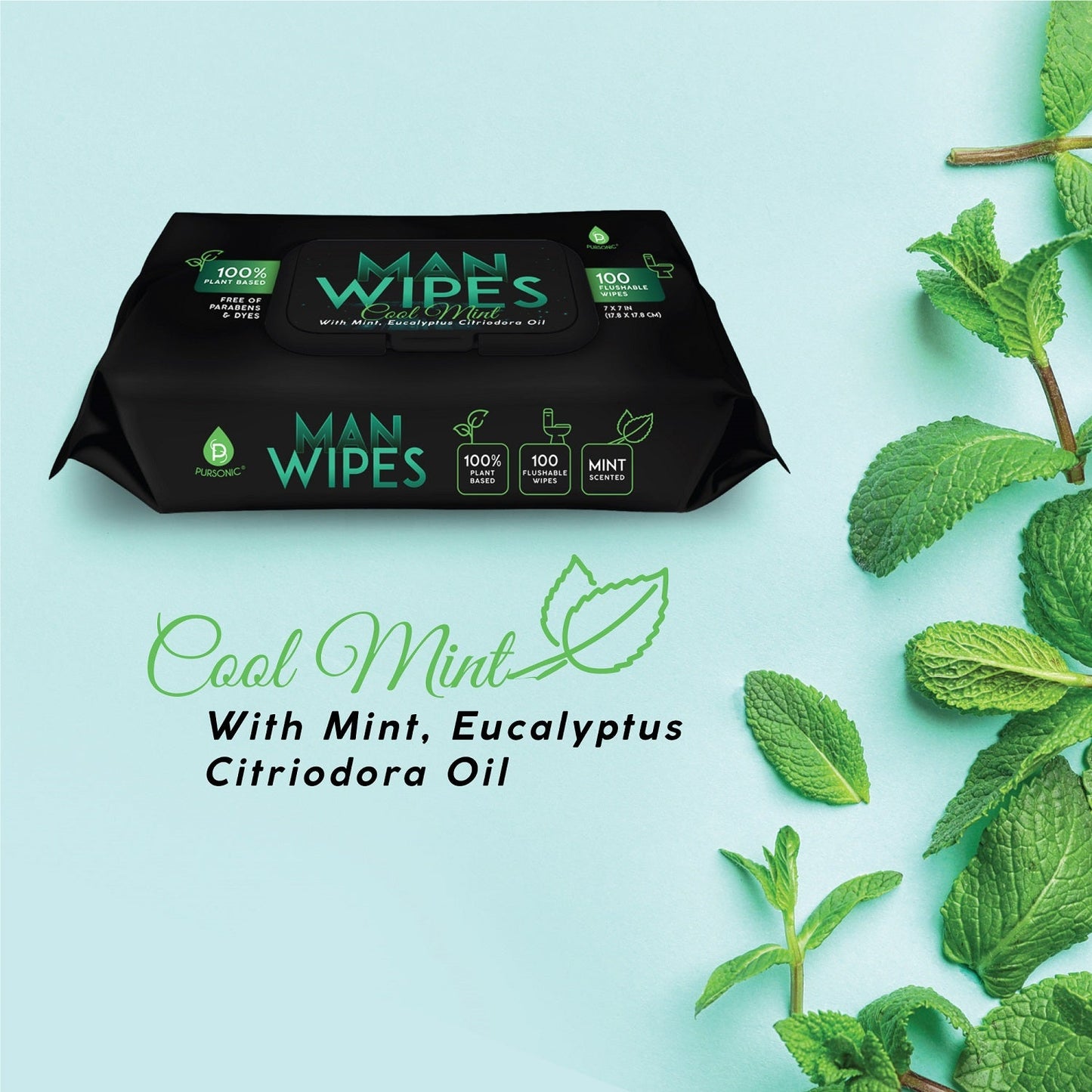 12 Pack of Flushable Man Wipes (1200 Mint Scented Wipes)-3