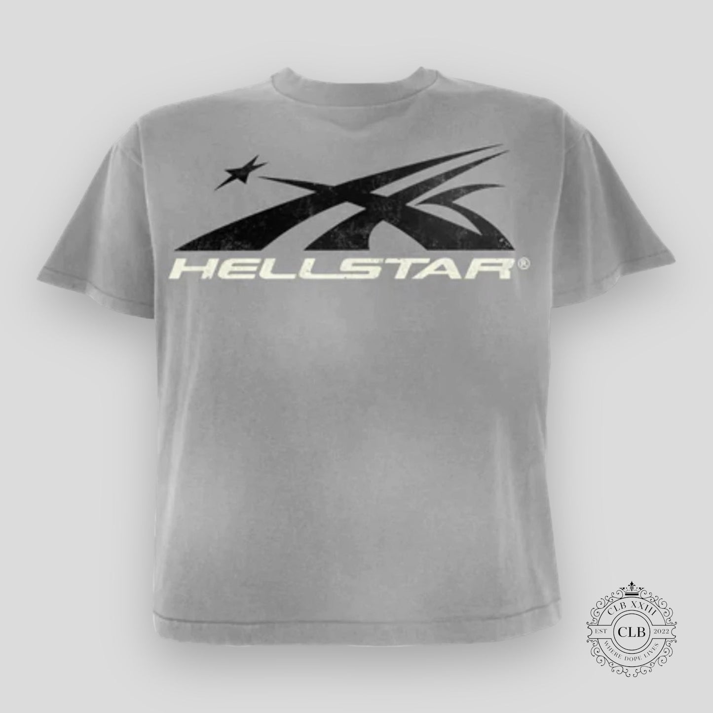 HELLSTAR SPORT LOGO TEE - GREY