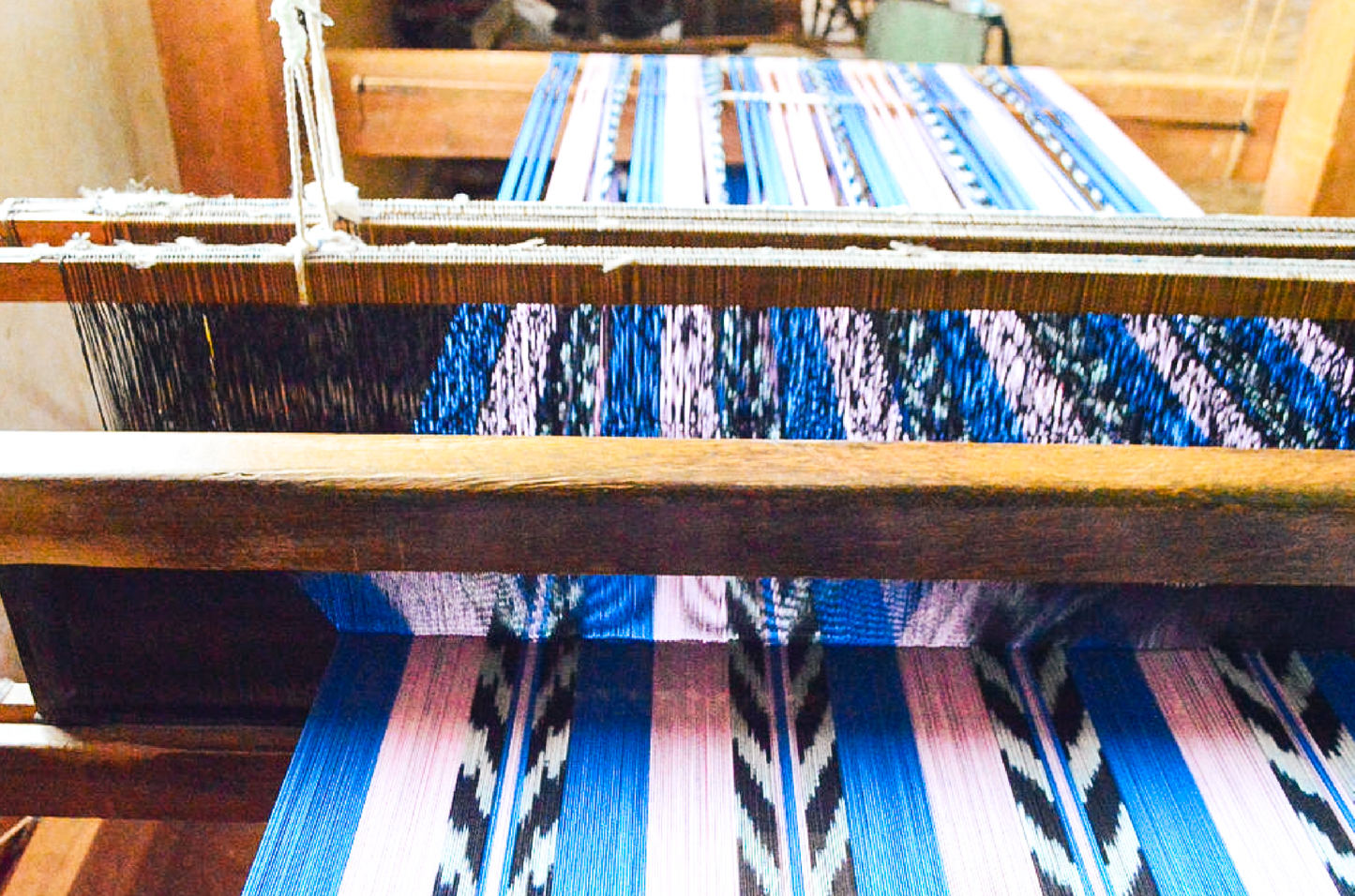 Backordered: Palm Ikat Blanket in Blue & Pink