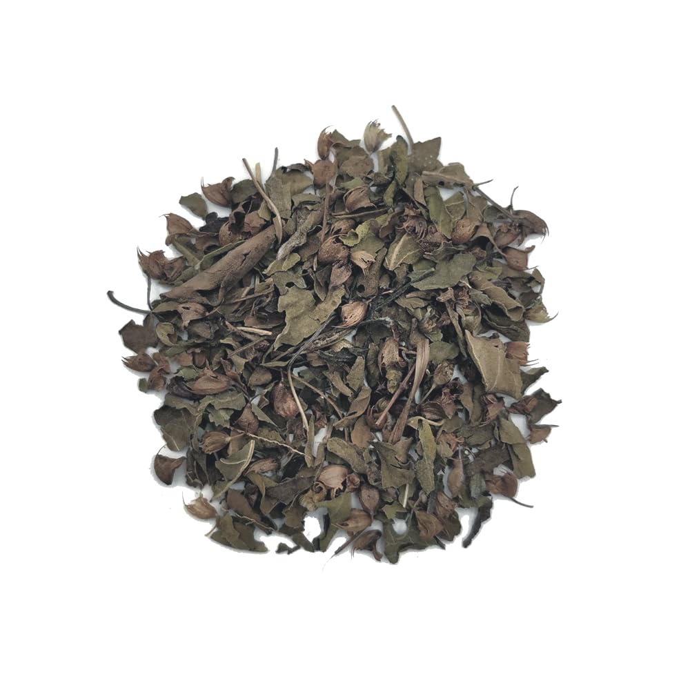 NUTRITEA Natural Tulsi Holy Basil Herbal Full Leaf Tea (Caffeine Free)-4