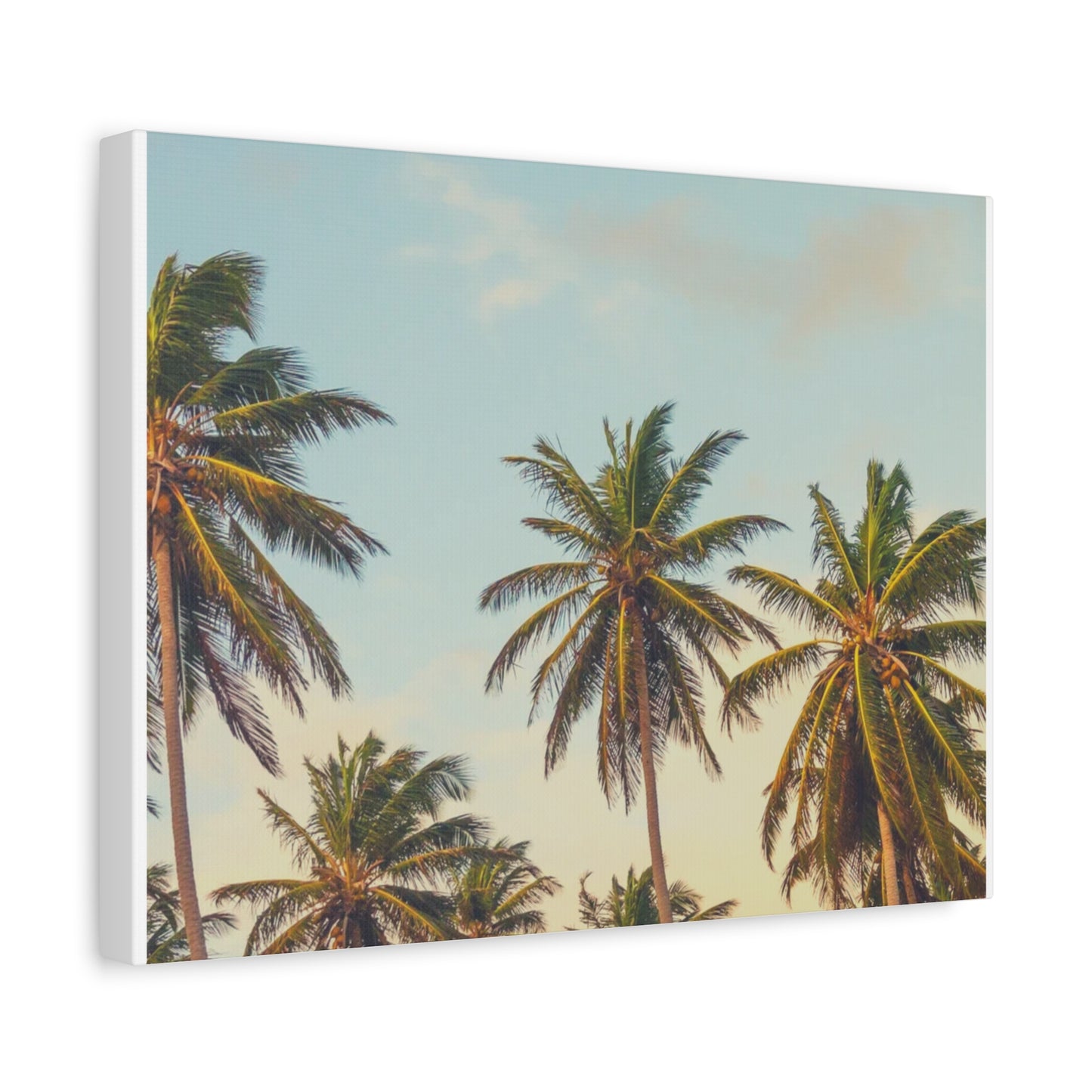 Tropical Palm Tree Canvas Print, City of Angeles Tropical Wall Art, Los Angeles Beach Decor, California Nature Photography, Home Decoration, Gift for Beach Lovers