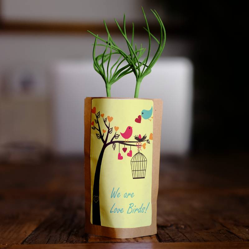 Plant 10 Trees for Our Journey – “We Are Love Birds”-0