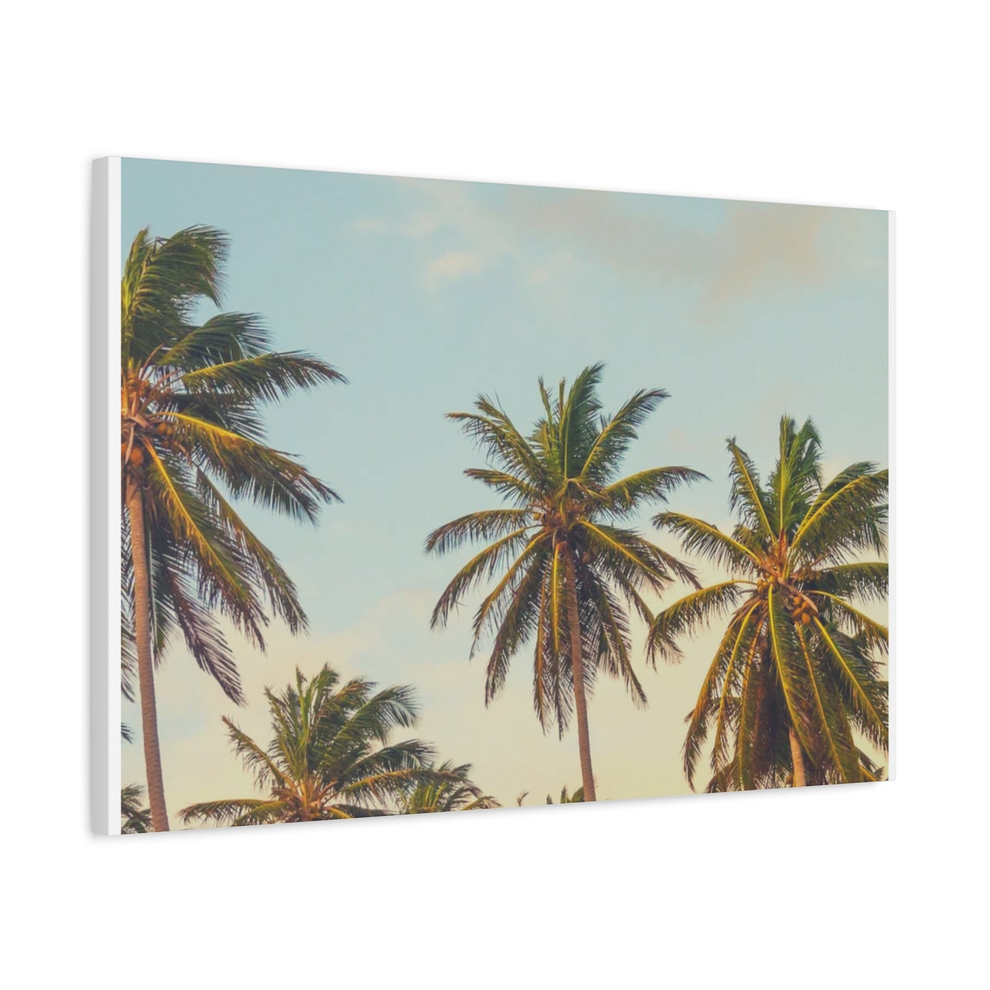 Tropical Palm Tree Canvas Print, City of Angeles Tropical Wall Art, Los Angeles Beach Decor, California Nature Photography, Home Decoration, Gift for Beach Lovers