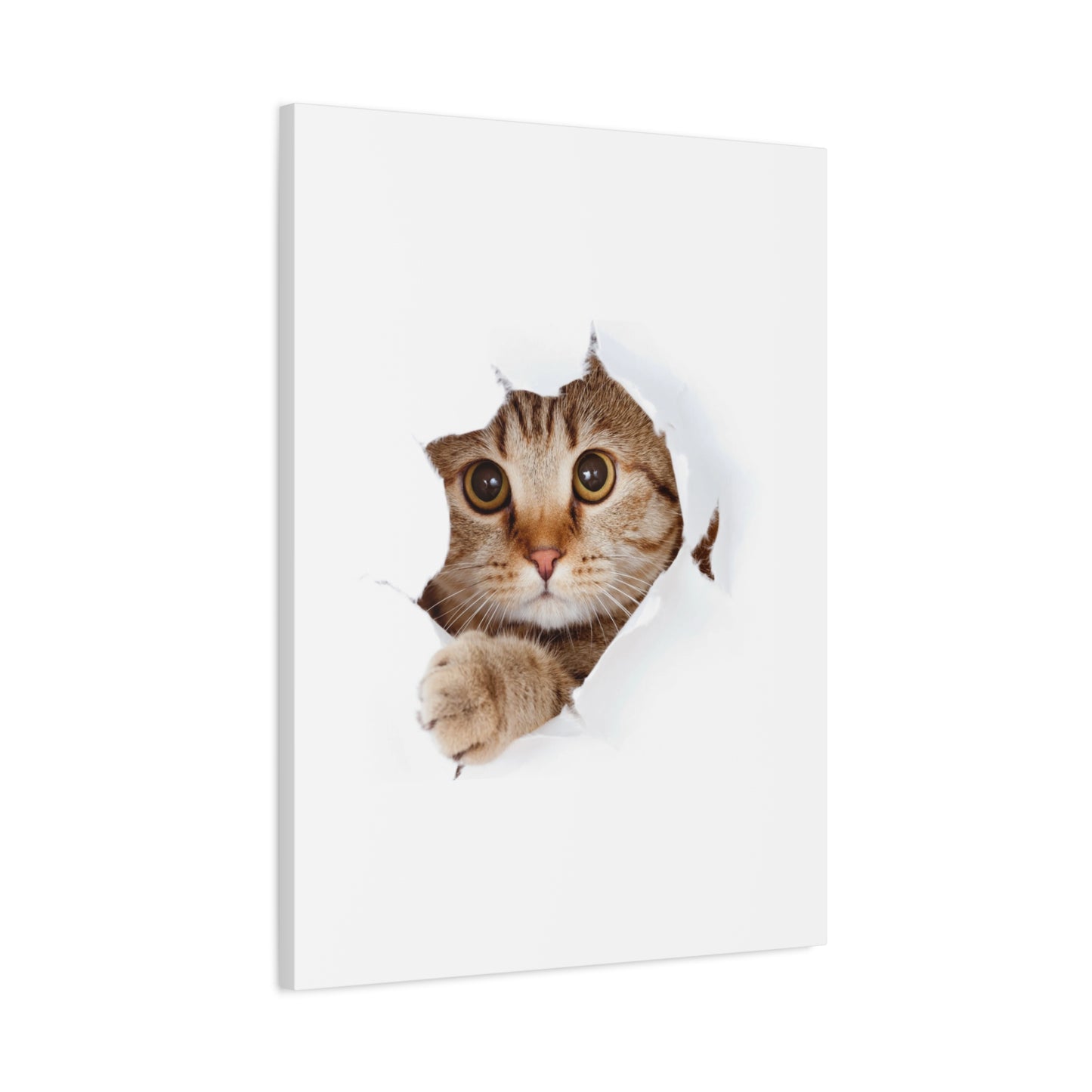 Whimsical Cat Canvas Art, Playful Decor for Cat Lovers, Home Wall Art, Pet-Themed Gift, Cute Cat Wall Art, Cat Lover's Decoration