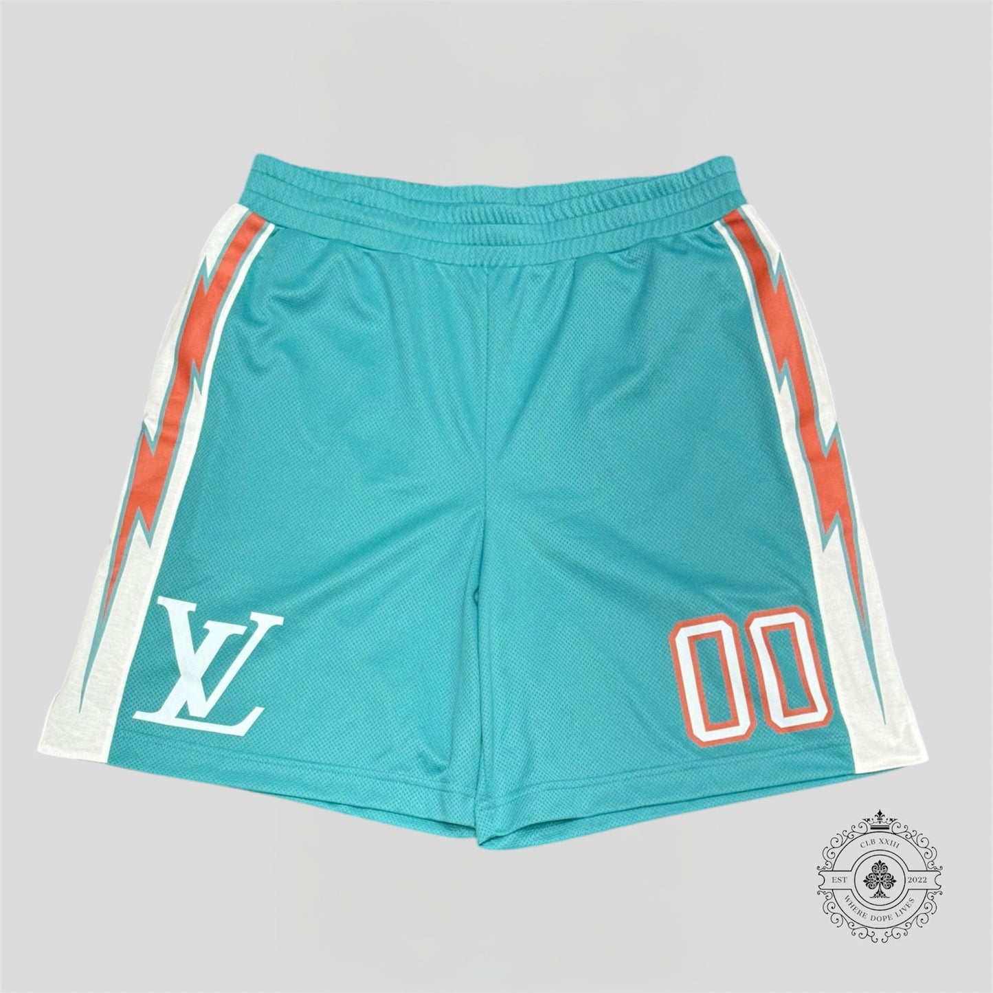 Louis Vuitton Sport Shorts in Turquoise
