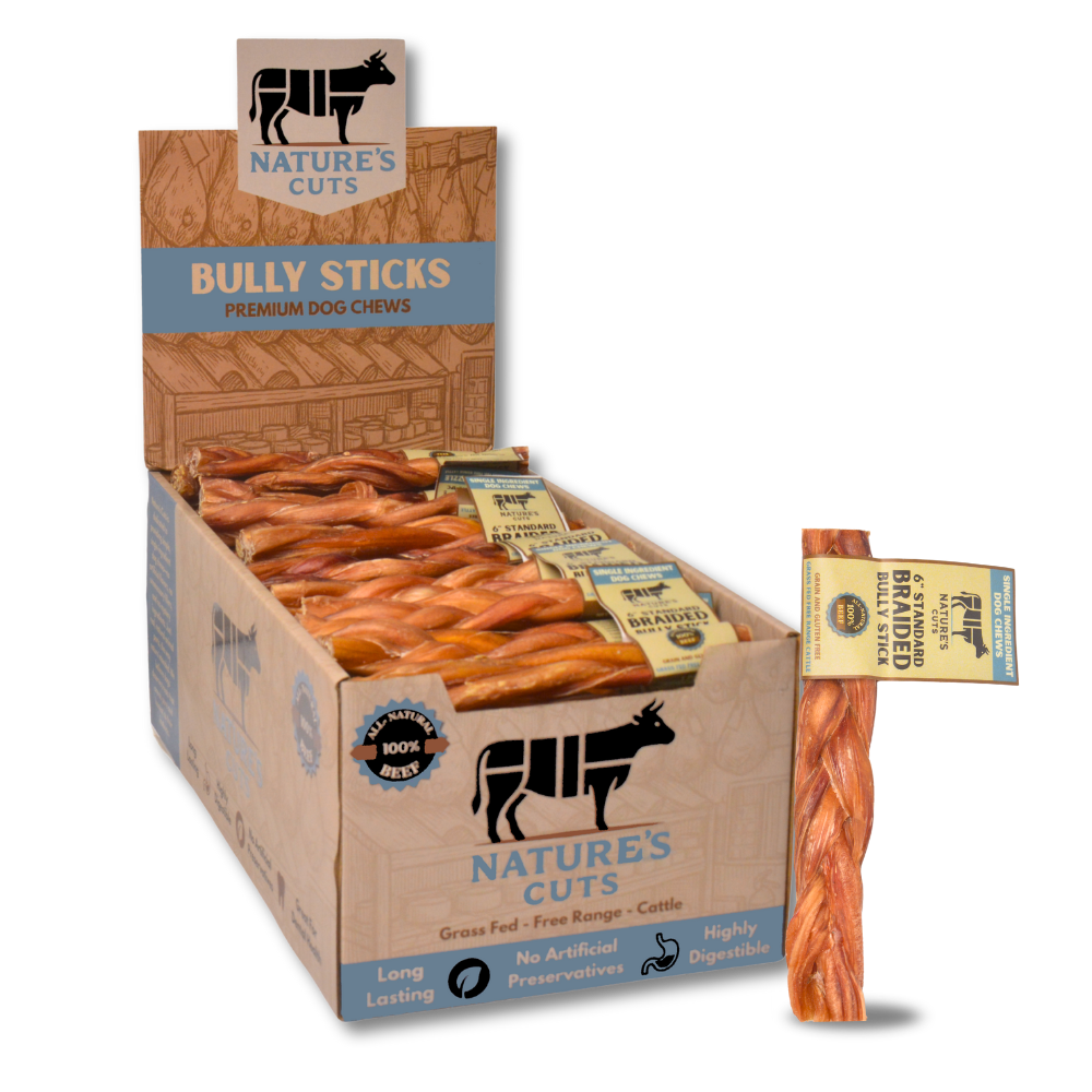 6" Standard Braided Bully Sticks Display Box-0
