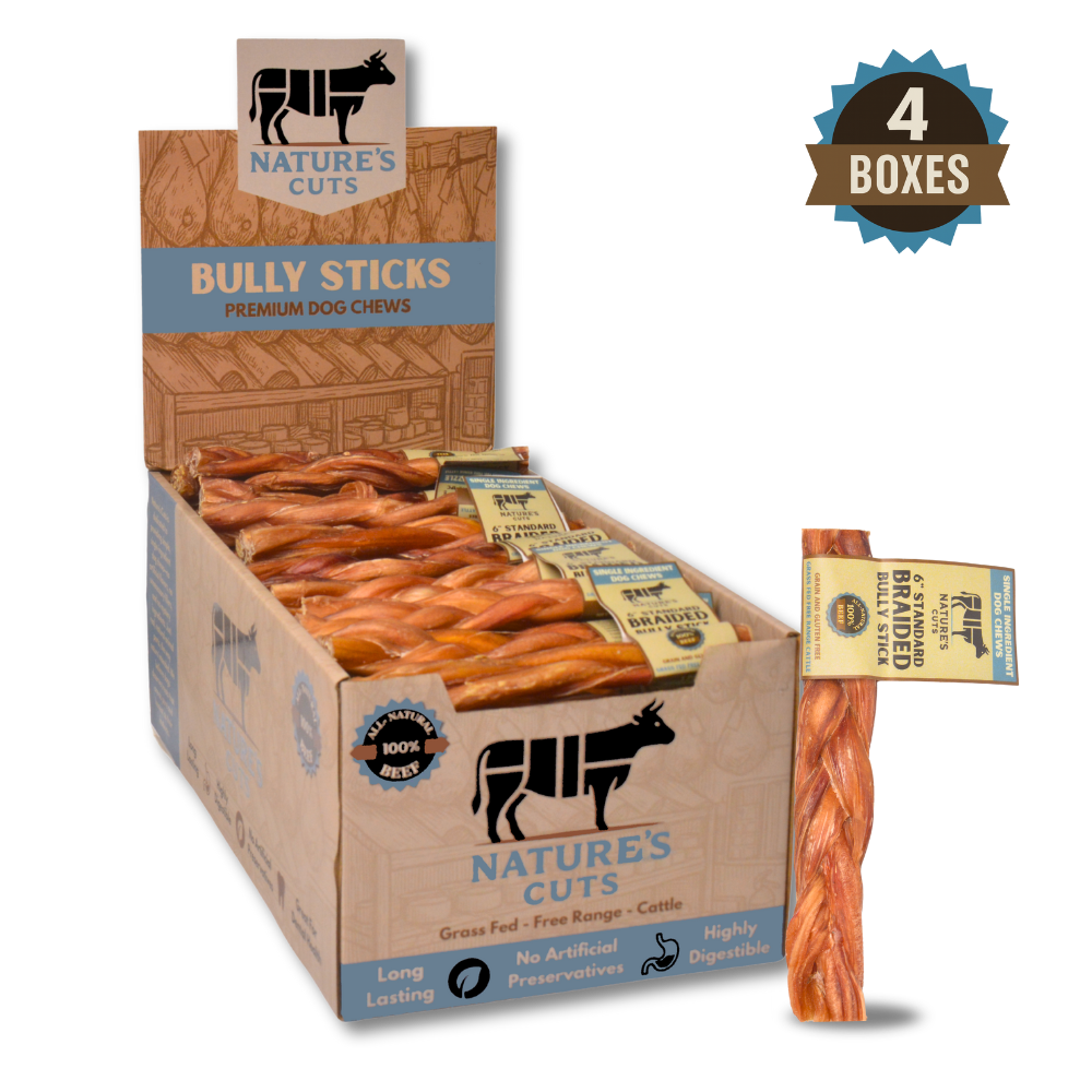 6" Standard Braided Bully Sticks Display Box-6