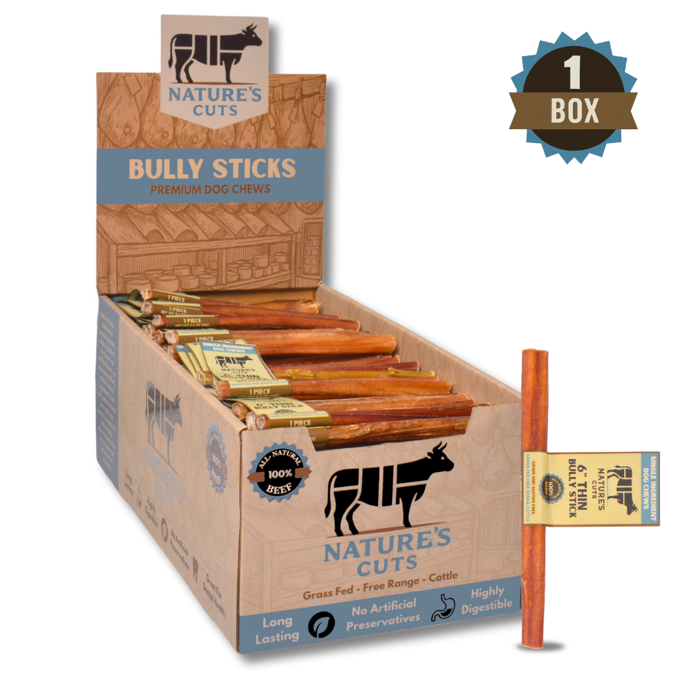 6" Thin Bully Sticks Display Box-5