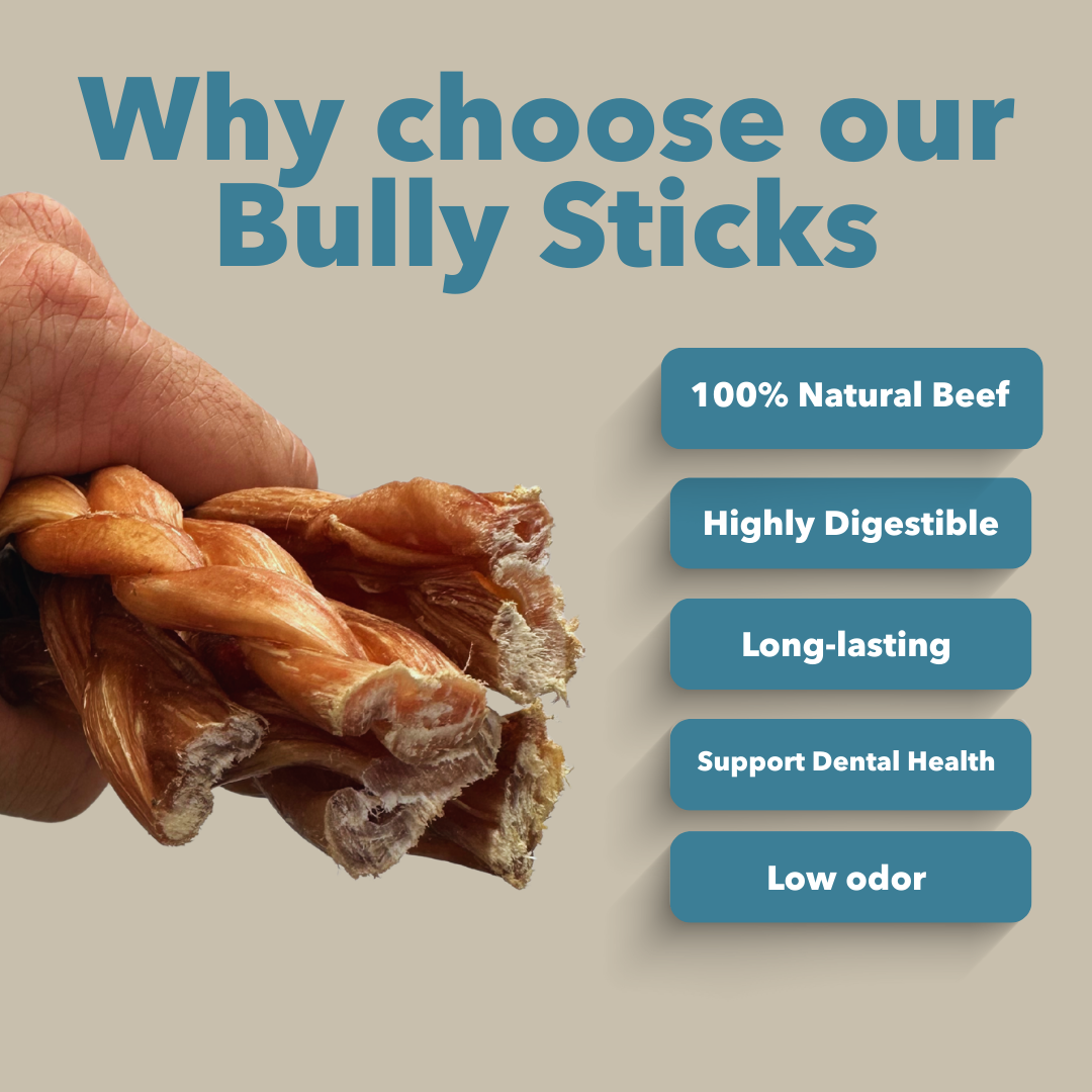 6" Standard Braided Bully Sticks Display Box-3