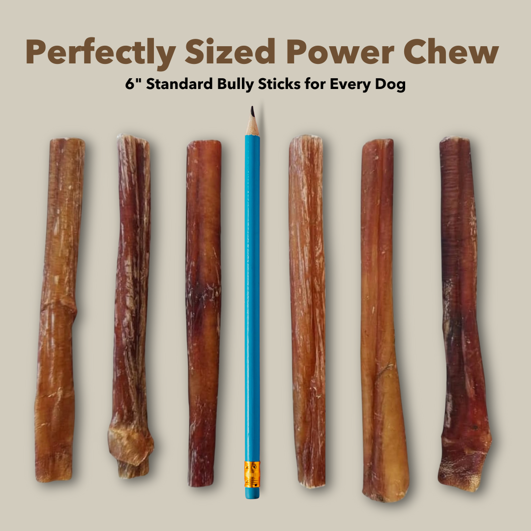 6" Standard Bulk Bully Sticks-4