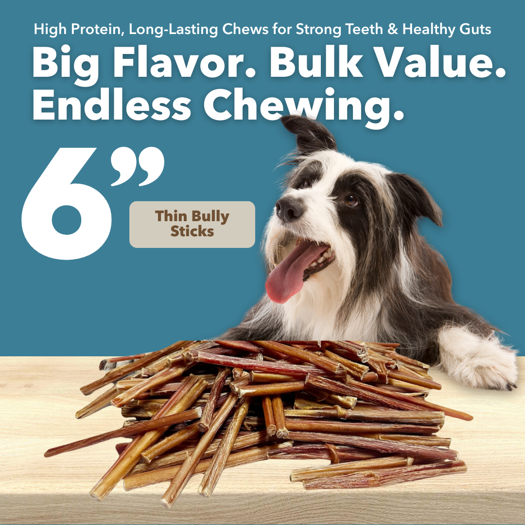 6" Thin Bulk Bully Sticks-1