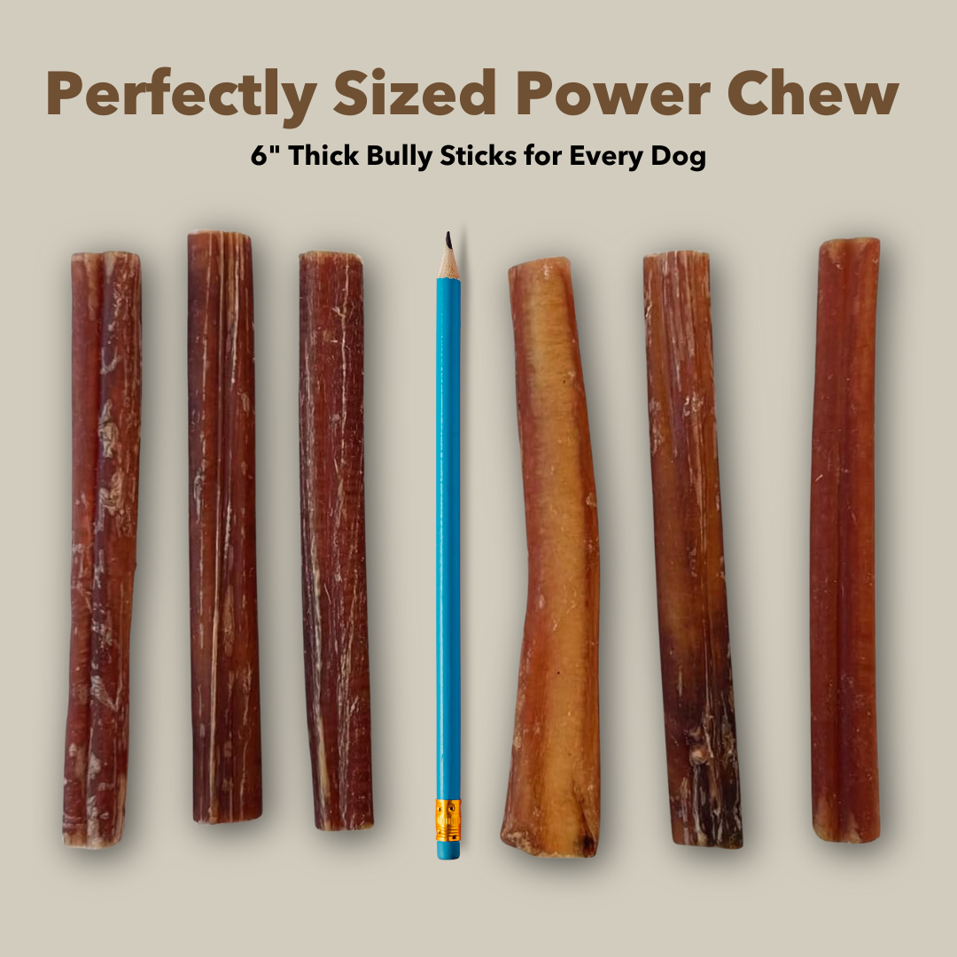 6" Thick Bulk Bully Sticks-4