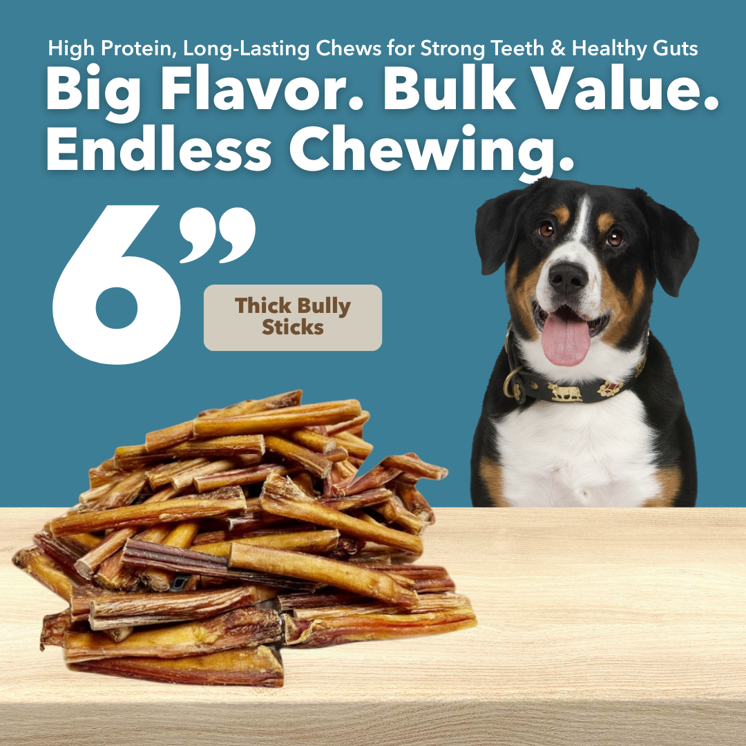 6" Thick Bulk Bully Sticks-1