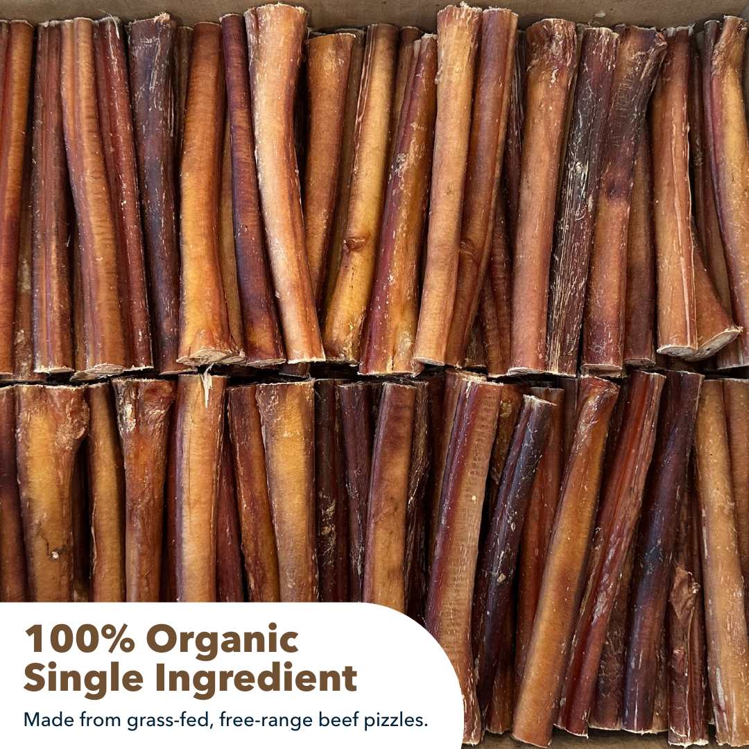 6" Thick Bulk Bully Sticks-3
