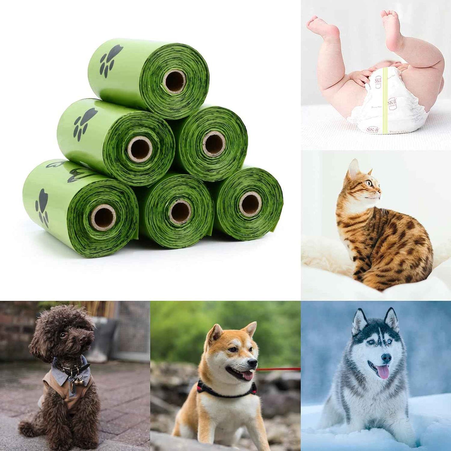 Dog Poop Bags for Every Adventure | Leak-Proof, Eco-Friendly