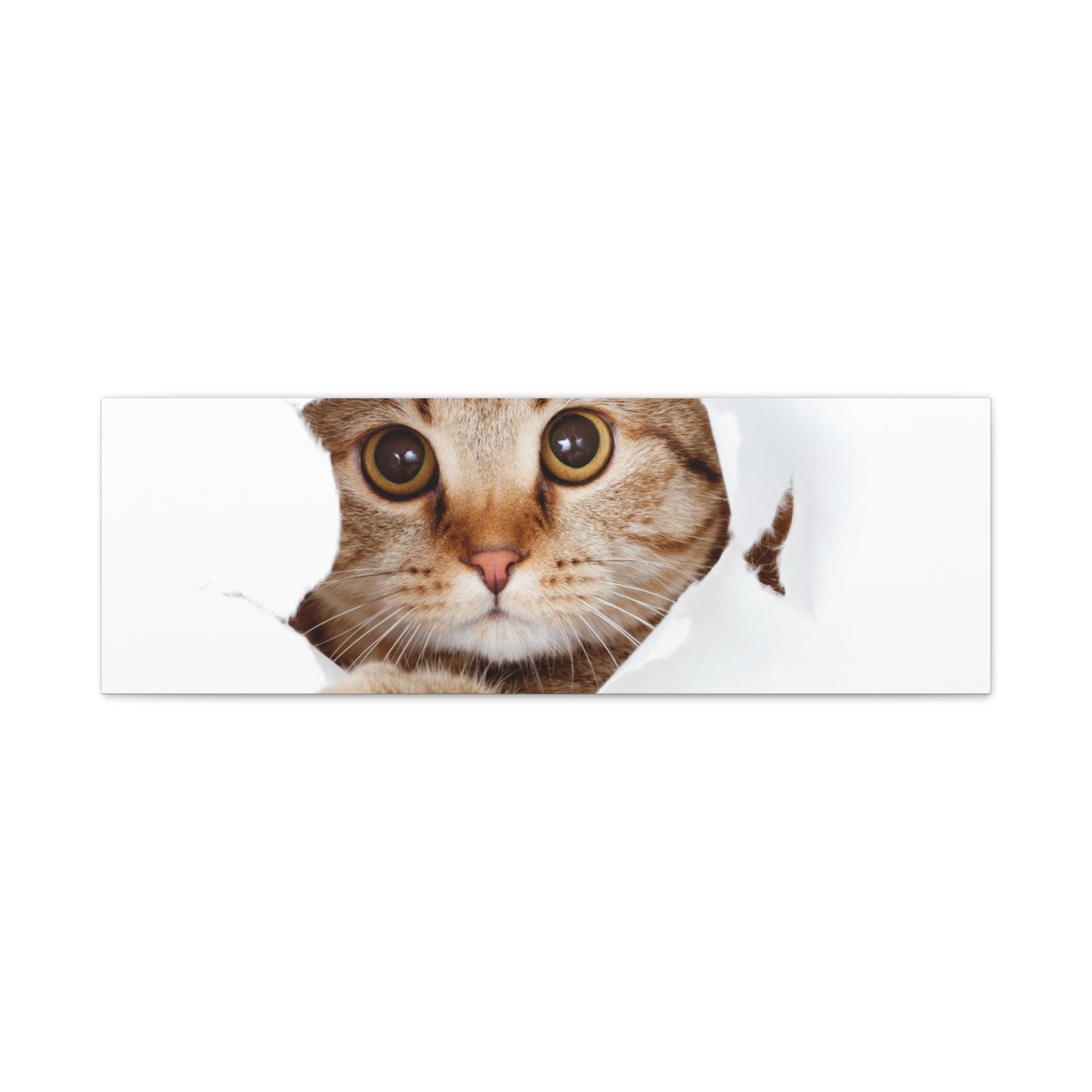Whimsical Cat Canvas Art, Playful Decor for Cat Lovers, Home Wall Art, Pet-Themed Gift, Cute Cat Wall Art, Cat Lover's Decoration