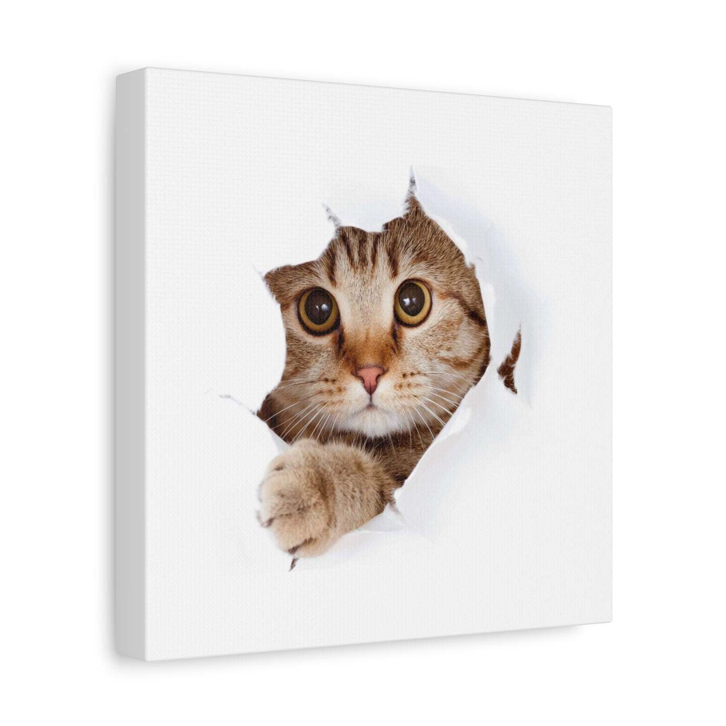 Whimsical Cat Canvas Art, Playful Decor for Cat Lovers, Home Wall Art, Pet-Themed Gift, Cute Cat Wall Art, Cat Lover's Decoration
