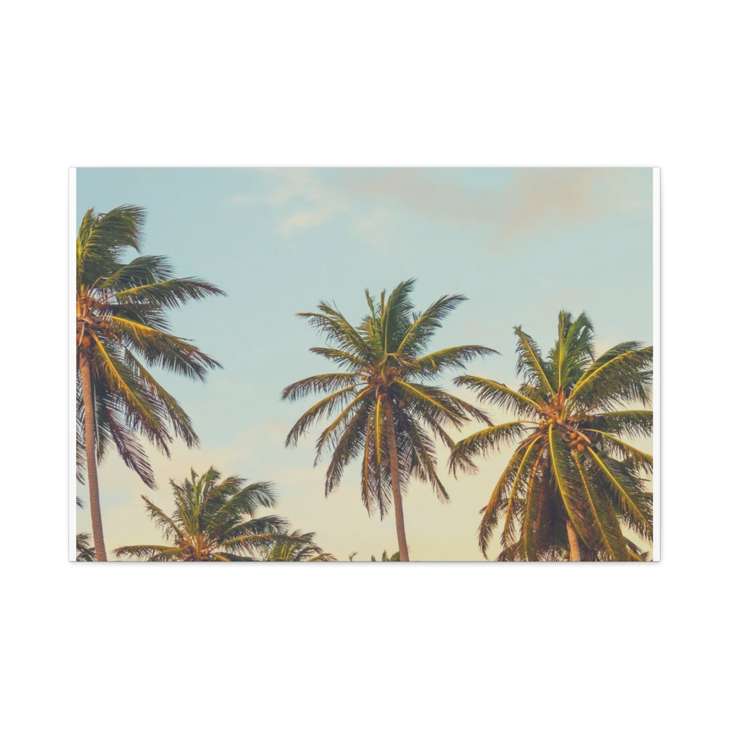 Tropical Palm Tree Canvas Print, City of Angeles Tropical Wall Art, Los Angeles Beach Decor, California Nature Photography, Home Decoration, Gift for Beach Lovers