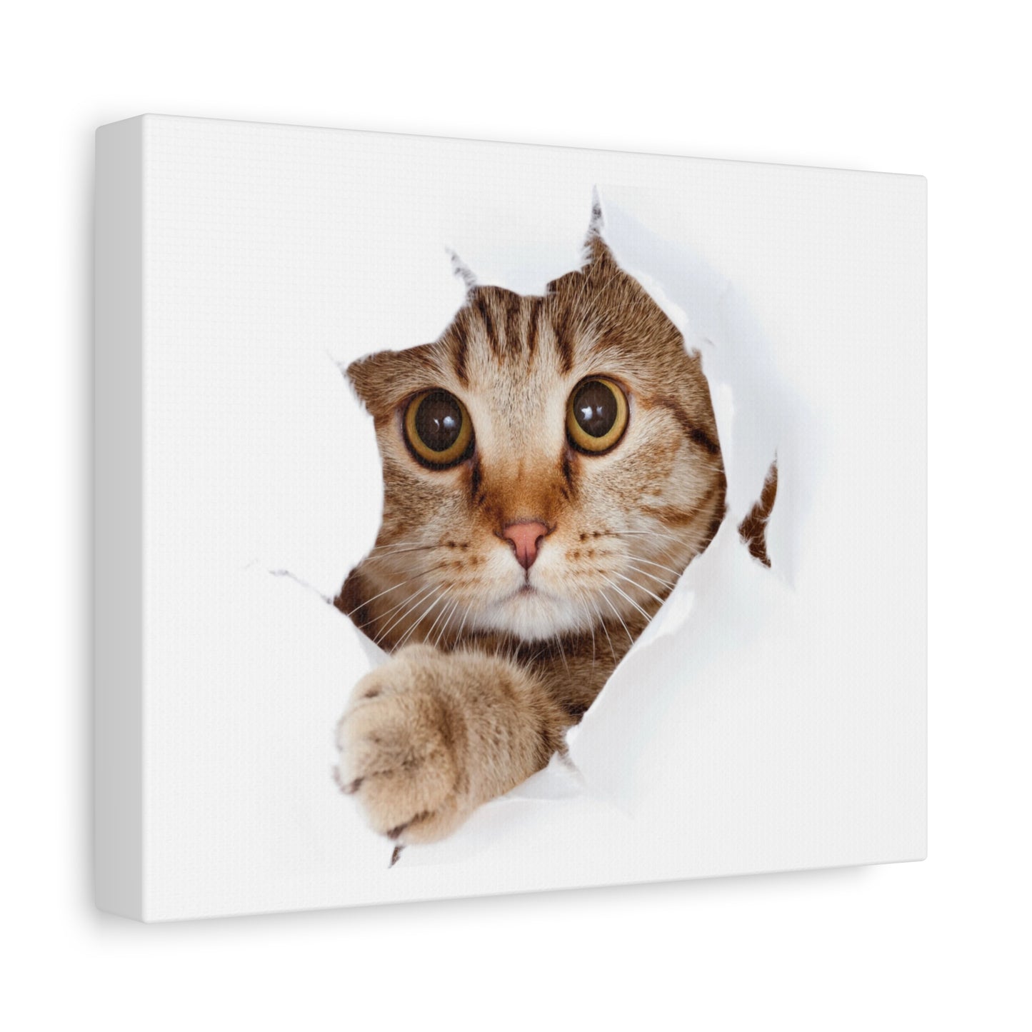 Whimsical Cat Canvas Art, Playful Decor for Cat Lovers, Home Wall Art, Pet-Themed Gift, Cute Cat Wall Art, Cat Lover's Decoration