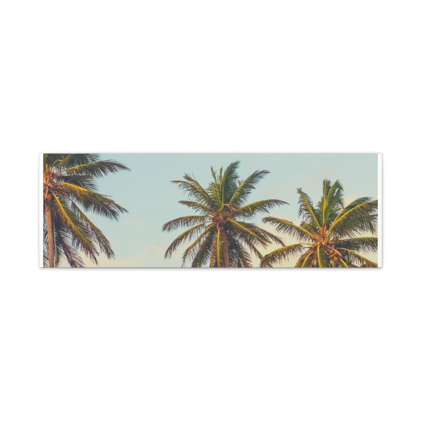 Tropical Palm Tree Canvas Print, City of Angeles Tropical Wall Art, Los Angeles Beach Decor, California Nature Photography, Home Decoration, Gift for Beach Lovers