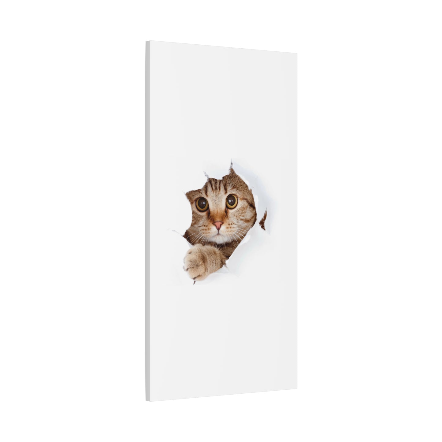 Whimsical Cat Canvas Art, Playful Decor for Cat Lovers, Home Wall Art, Pet-Themed Gift, Cute Cat Wall Art, Cat Lover's Decoration