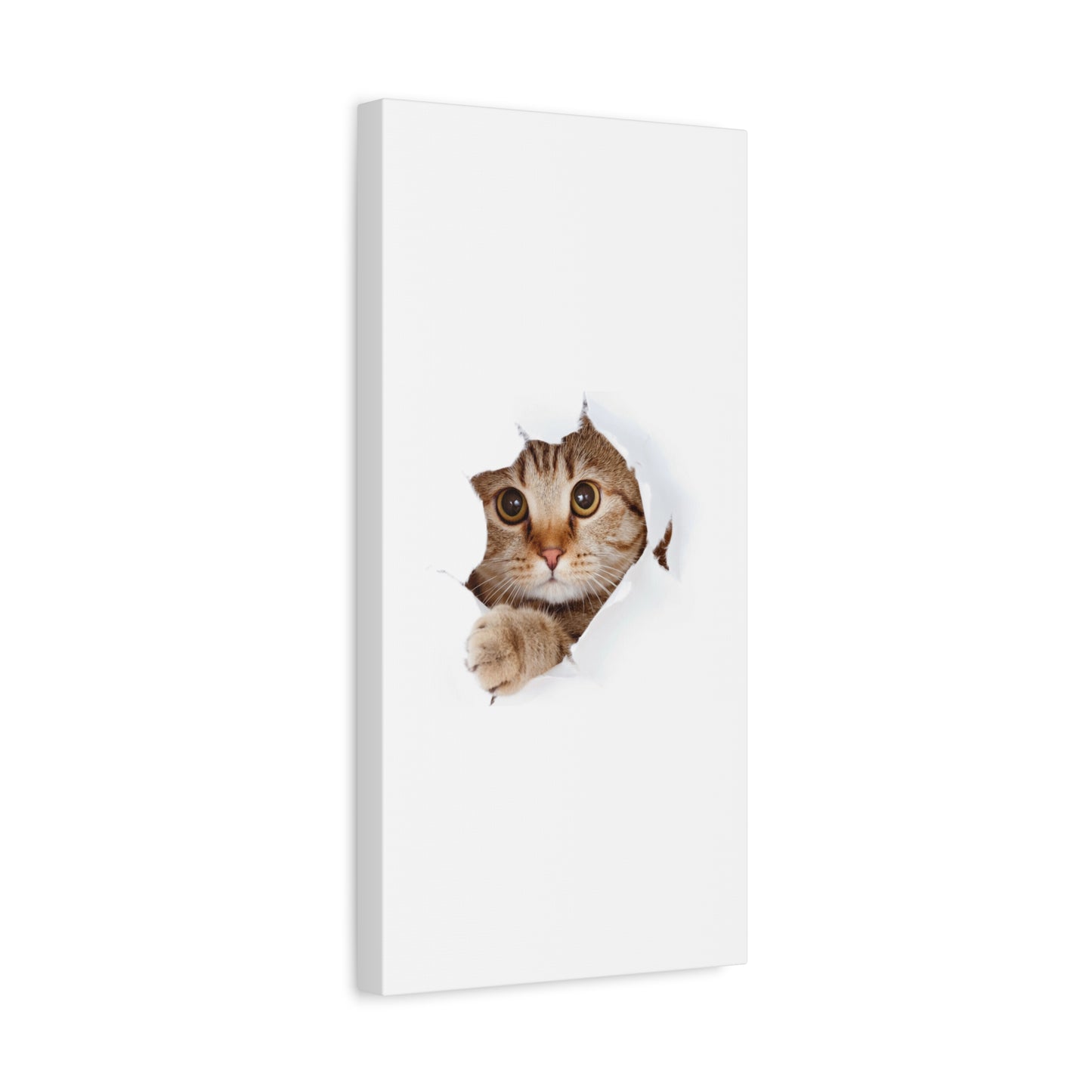 Whimsical Cat Canvas Art, Playful Decor for Cat Lovers, Home Wall Art, Pet-Themed Gift, Cute Cat Wall Art, Cat Lover's Decoration