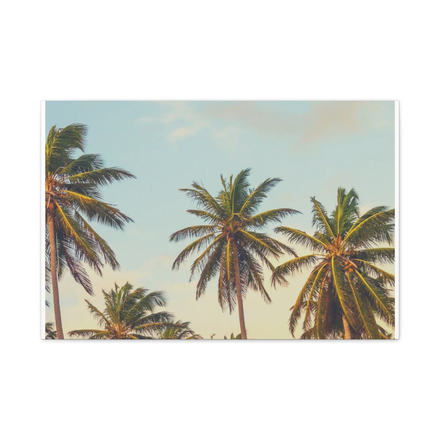 Tropical Palm Tree Canvas Print, City of Angeles Tropical Wall Art, Los Angeles Beach Decor, California Nature Photography, Home Decoration, Gift for Beach Lovers
