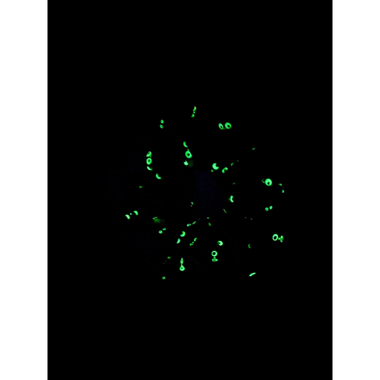 Glow in the Dark Spiderweb Halloween Scrunch