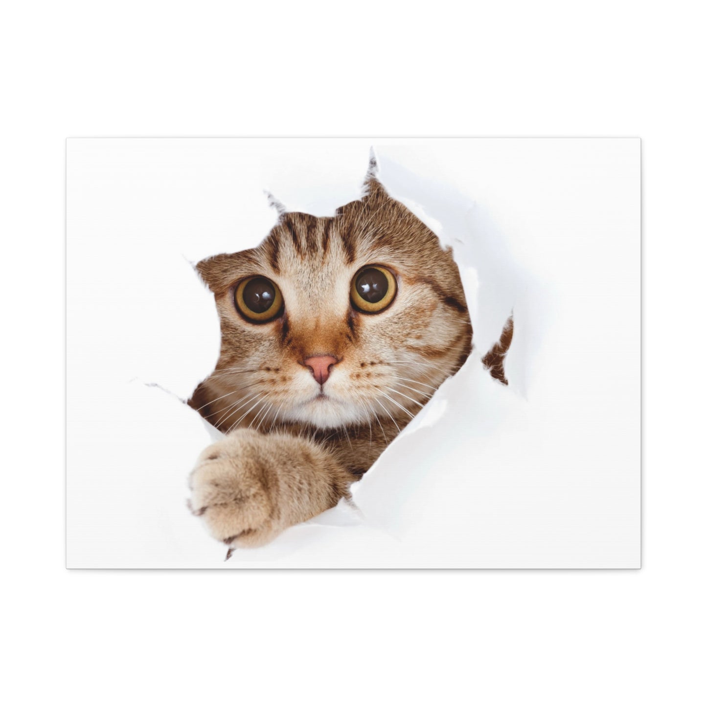 Whimsical Cat Canvas Art, Playful Decor for Cat Lovers, Home Wall Art, Pet-Themed Gift, Cute Cat Wall Art, Cat Lover's Decoration