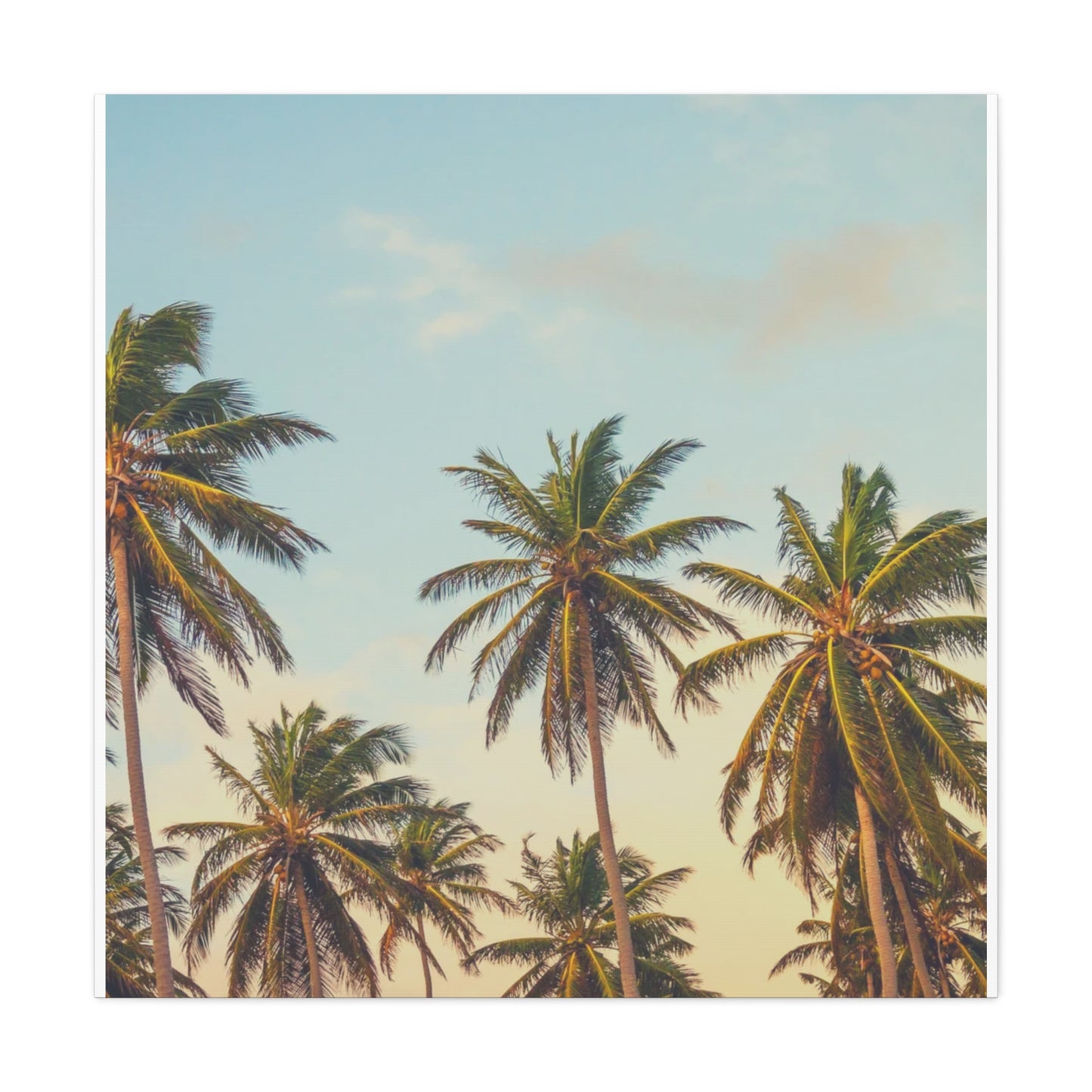 Tropical Palm Tree Canvas Print, City of Angeles Tropical Wall Art, Los Angeles Beach Decor, California Nature Photography, Home Decoration, Gift for Beach Lovers