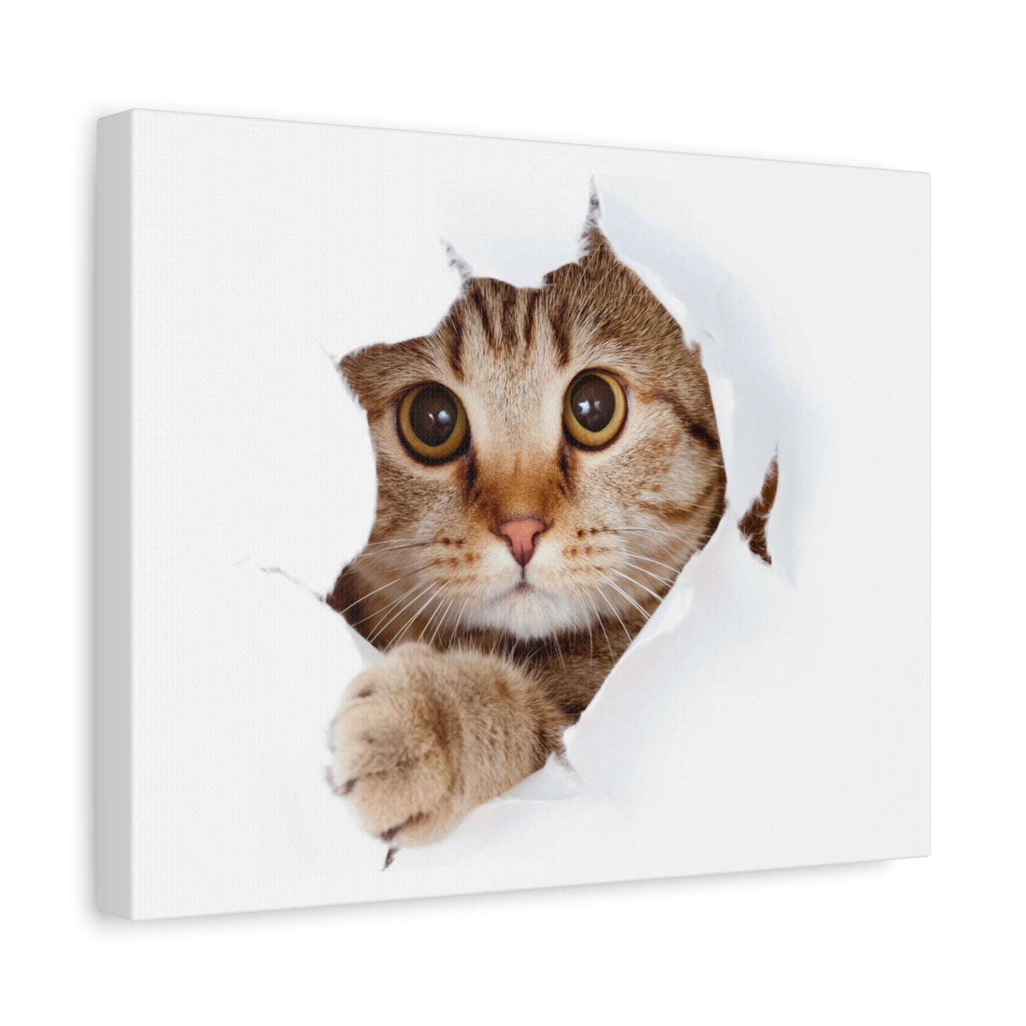 Whimsical Cat Canvas Art, Playful Decor for Cat Lovers, Home Wall Art, Pet-Themed Gift, Cute Cat Wall Art, Cat Lover's Decoration