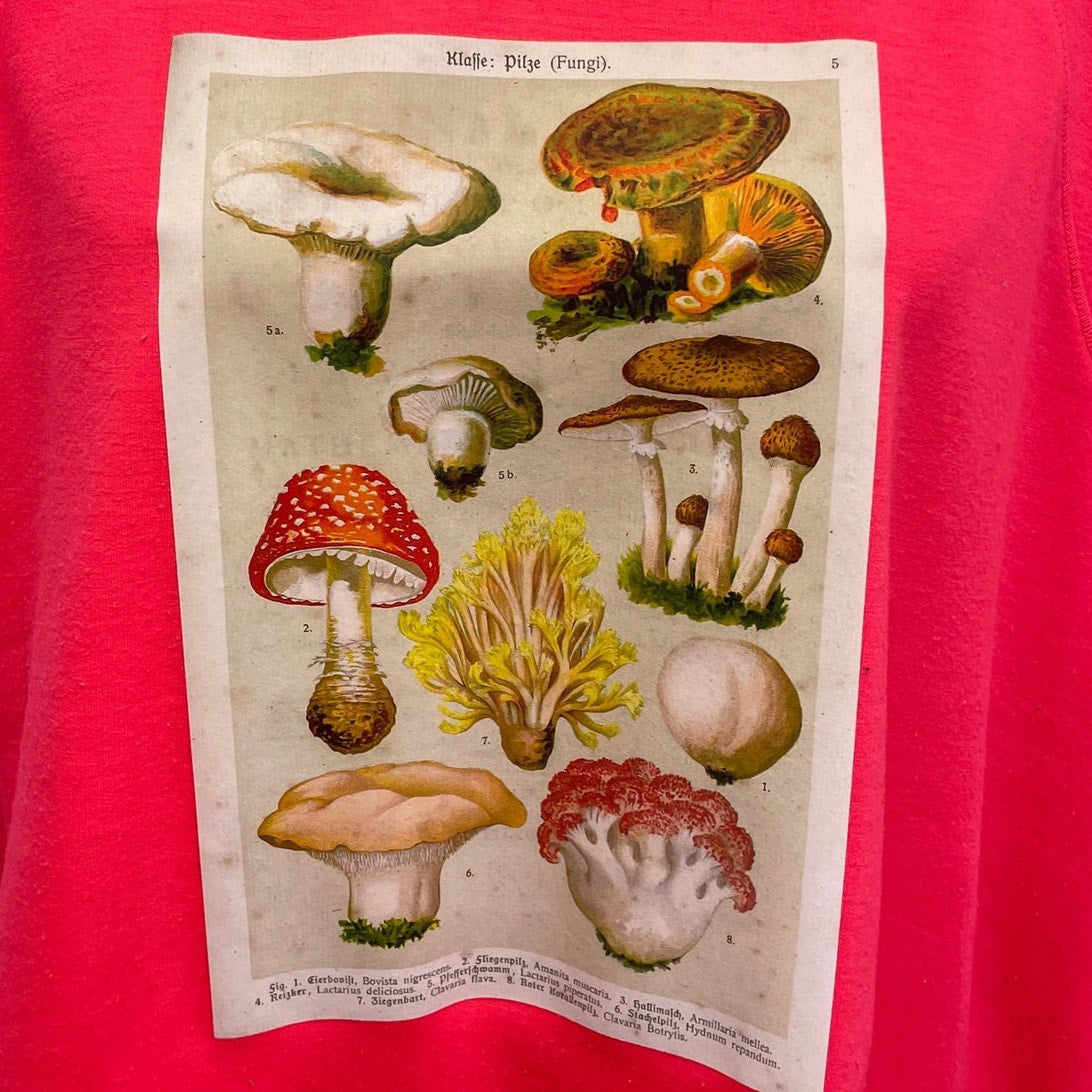 Hand Printed Upcycled Plus Size 26/28 3X Vintage Reference Book Mushroom Top