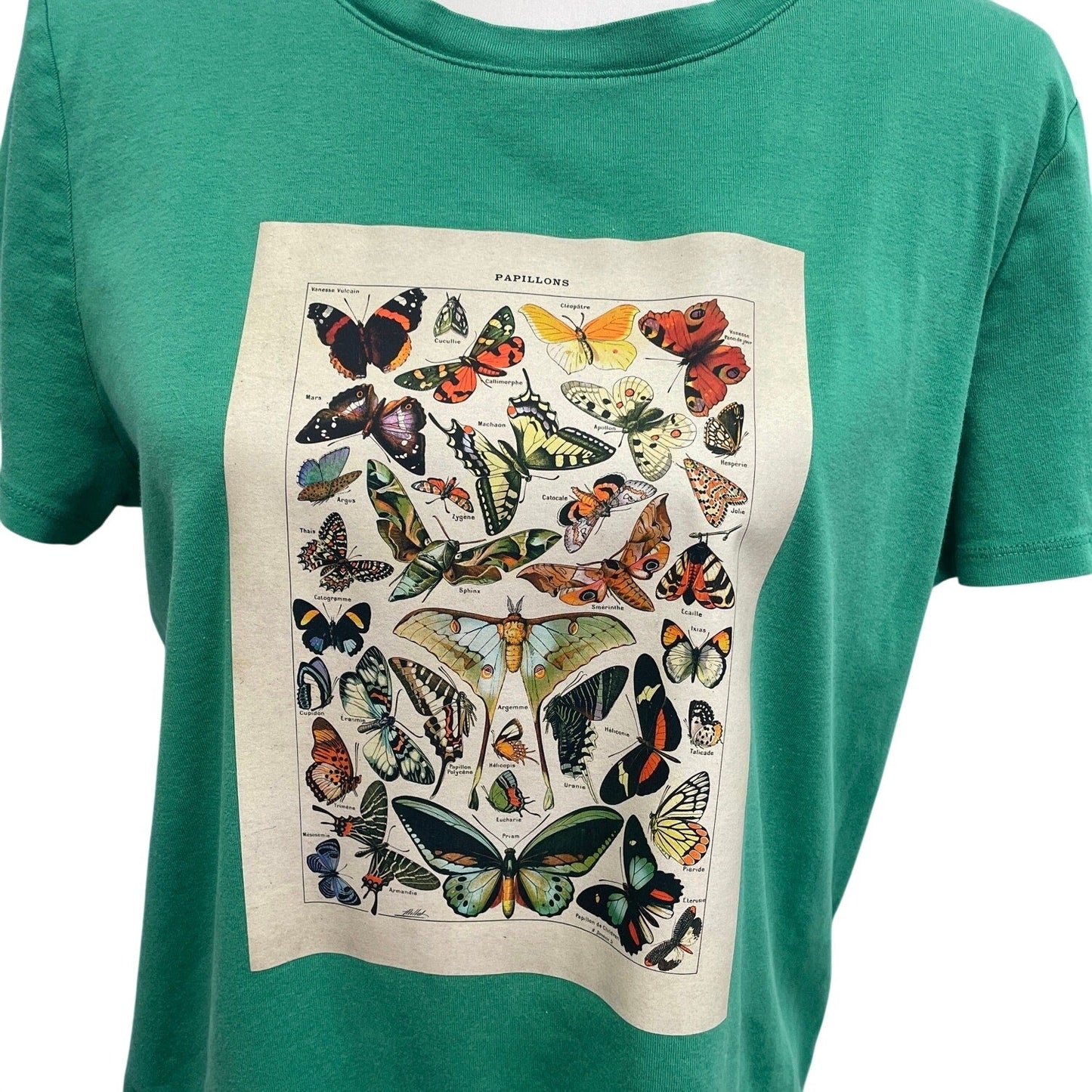 Hand Printed Upcycled XL Vintage Reference Book Butterfly Page Crew Neck Tee