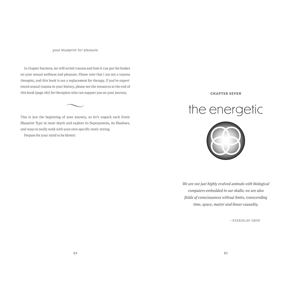 Your Blueprint for Pleasure-2