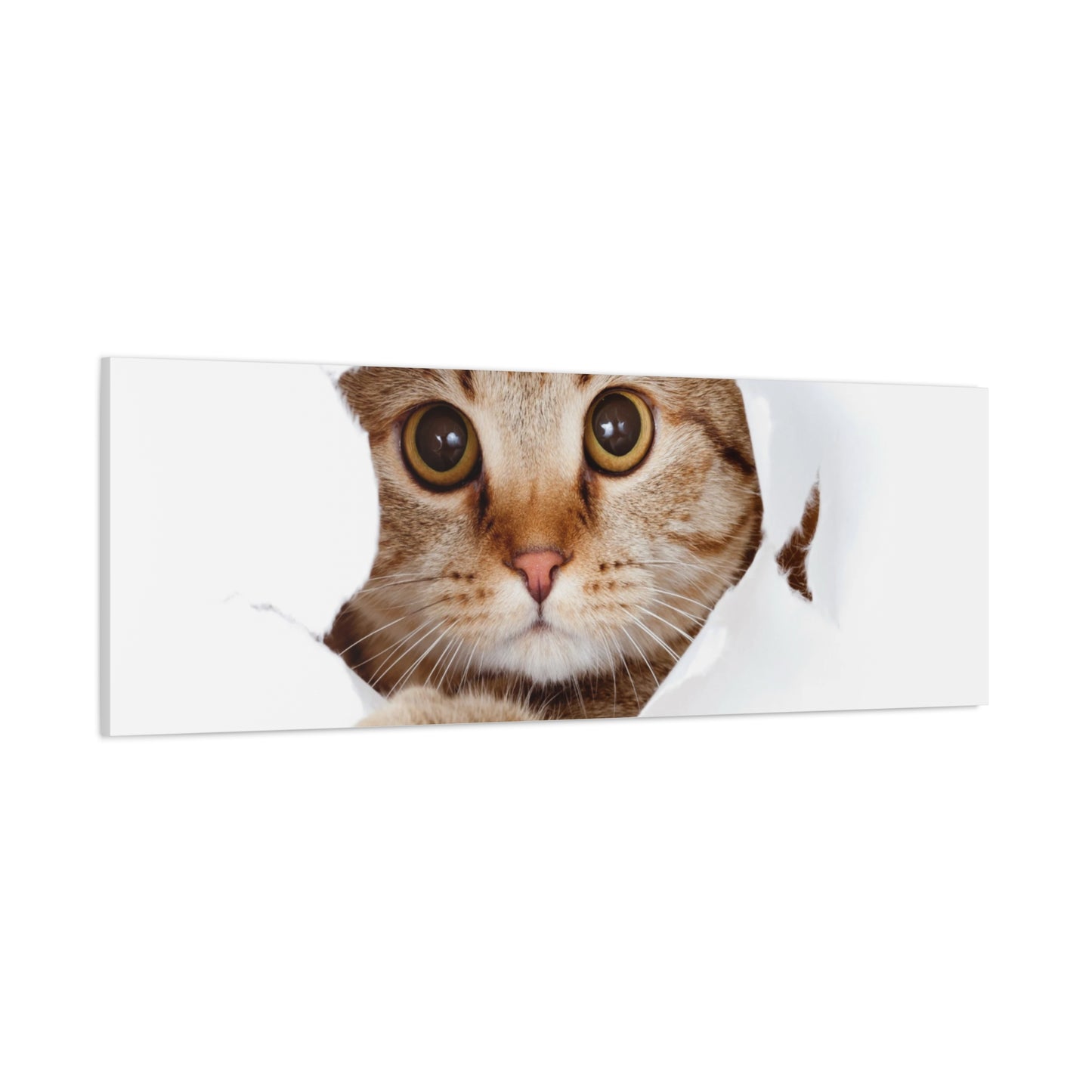 Whimsical Cat Canvas Art, Playful Decor for Cat Lovers, Home Wall Art, Pet-Themed Gift, Cute Cat Wall Art, Cat Lover's Decoration