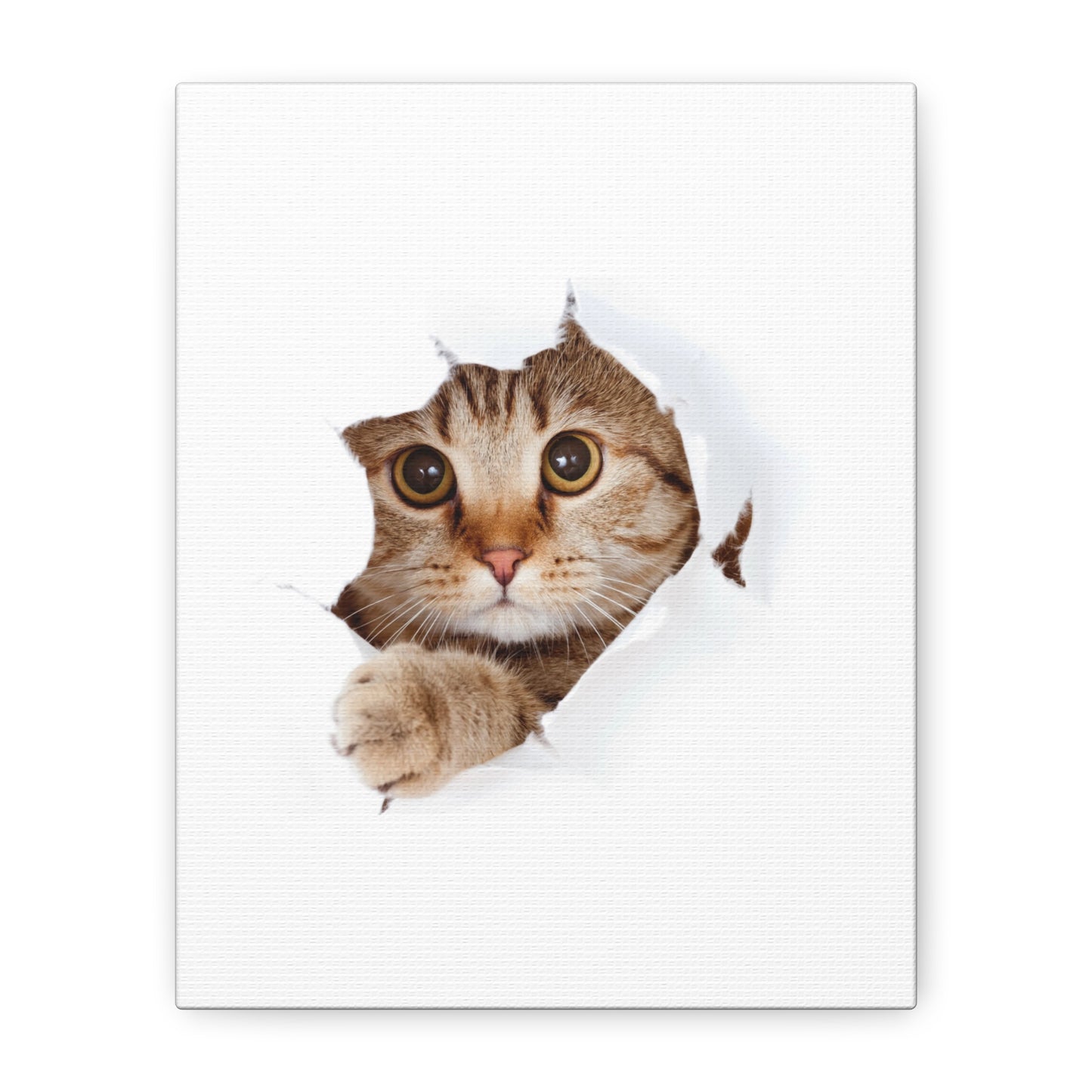 Whimsical Cat Canvas Art, Playful Decor for Cat Lovers, Home Wall Art, Pet-Themed Gift, Cute Cat Wall Art, Cat Lover's Decoration