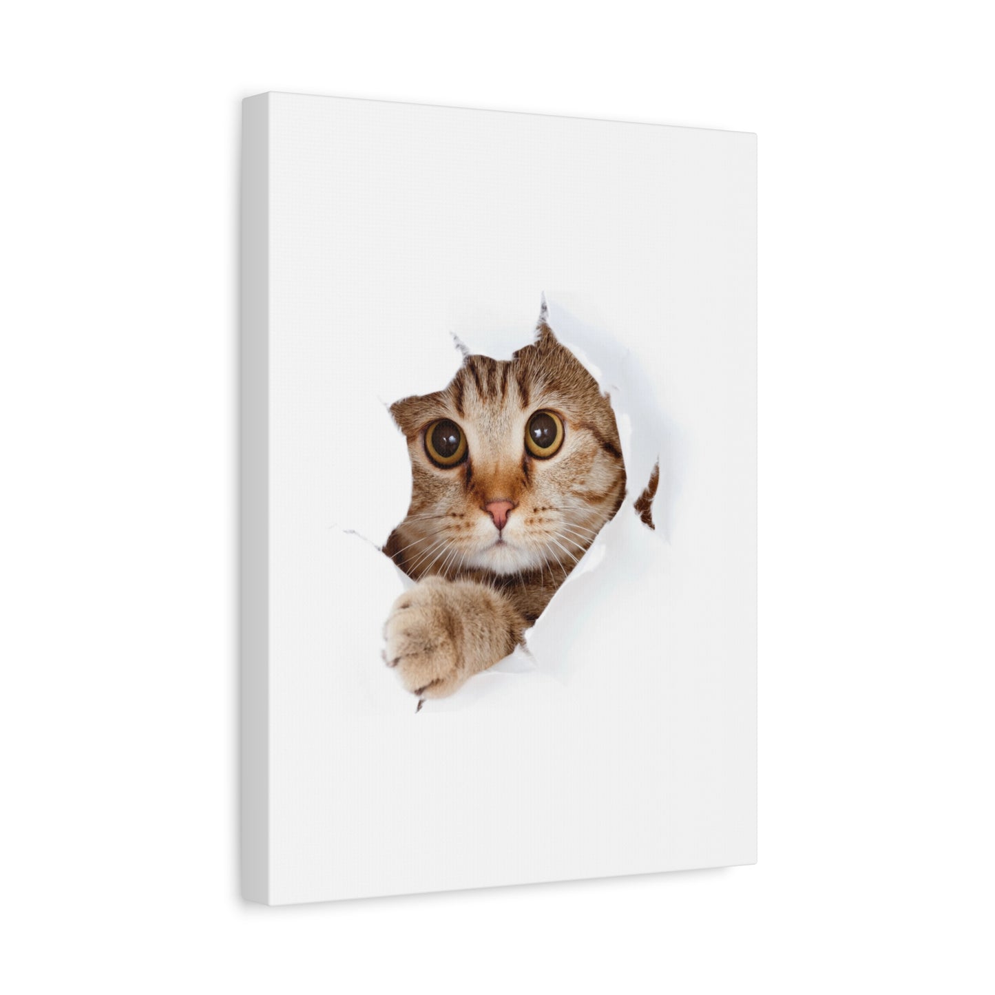 Whimsical Cat Canvas Art, Playful Decor for Cat Lovers, Home Wall Art, Pet-Themed Gift, Cute Cat Wall Art, Cat Lover's Decoration