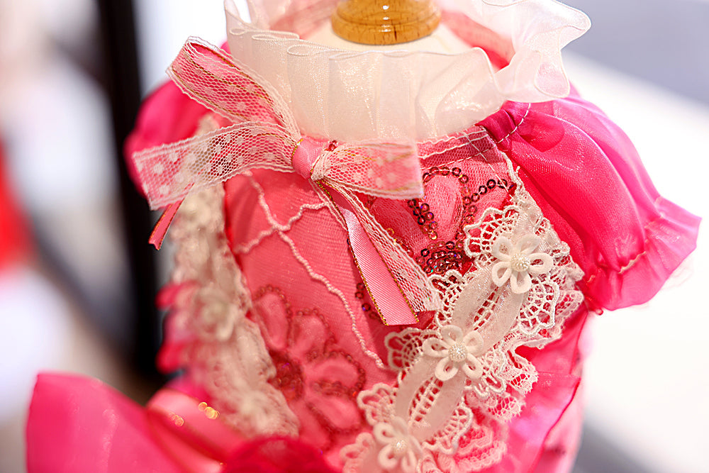 Elegant Hot Pink Lace Dog Party Dress