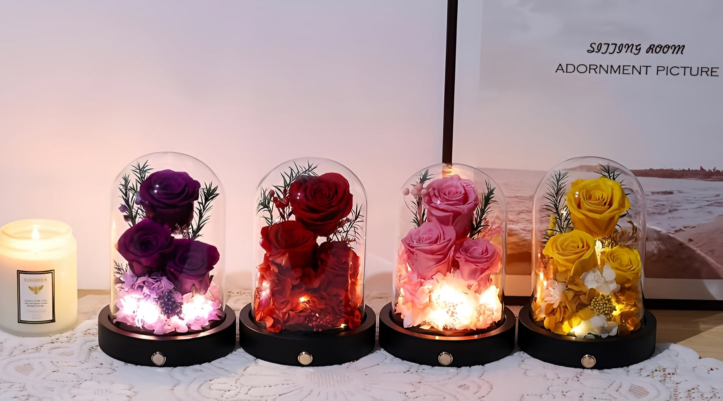 100% Real Preserved Flowers in Glass Dome with LED, Red Roses for Delivery