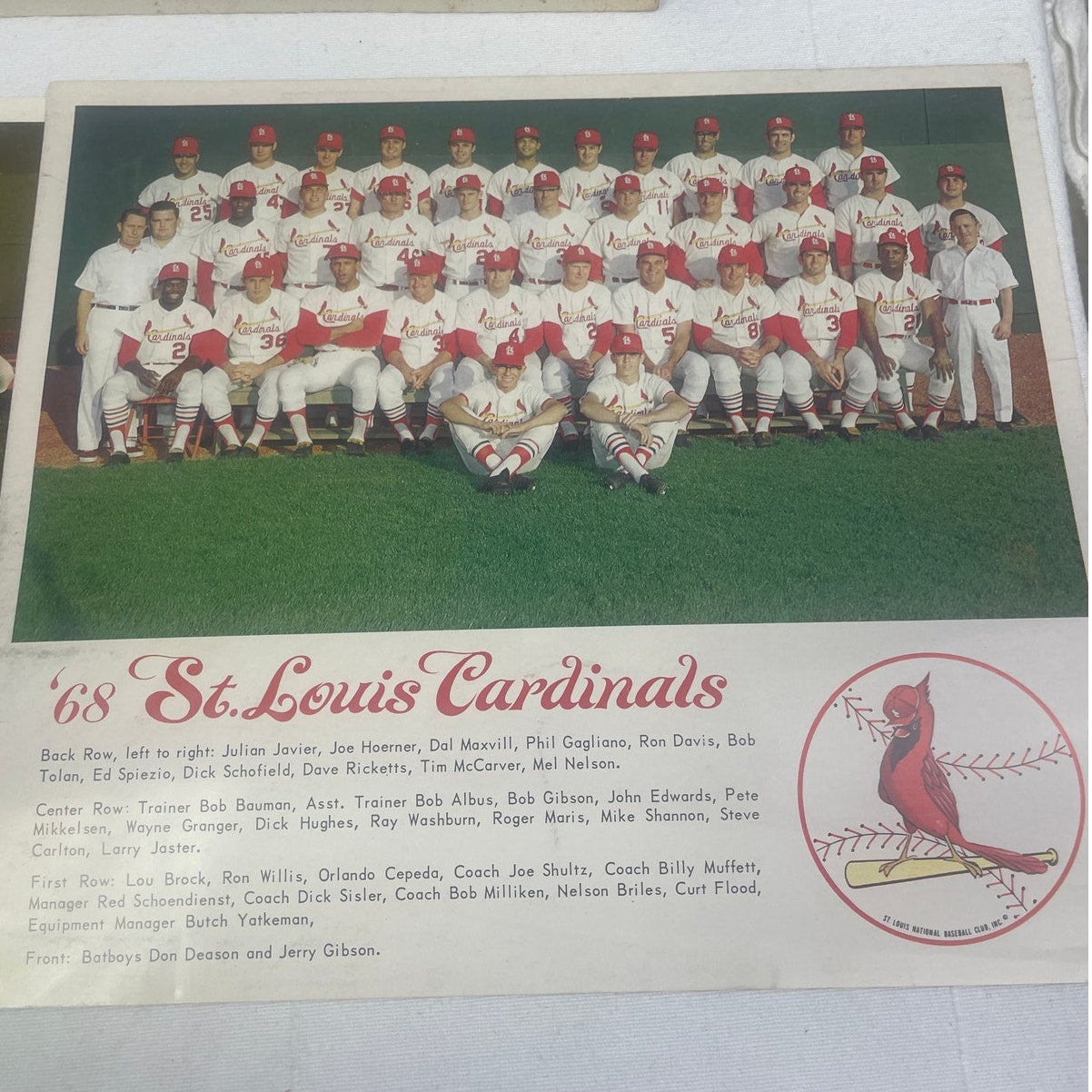 Vintage 1964 1968 1969 St Louis Baseball Cardinals Official Team Photos