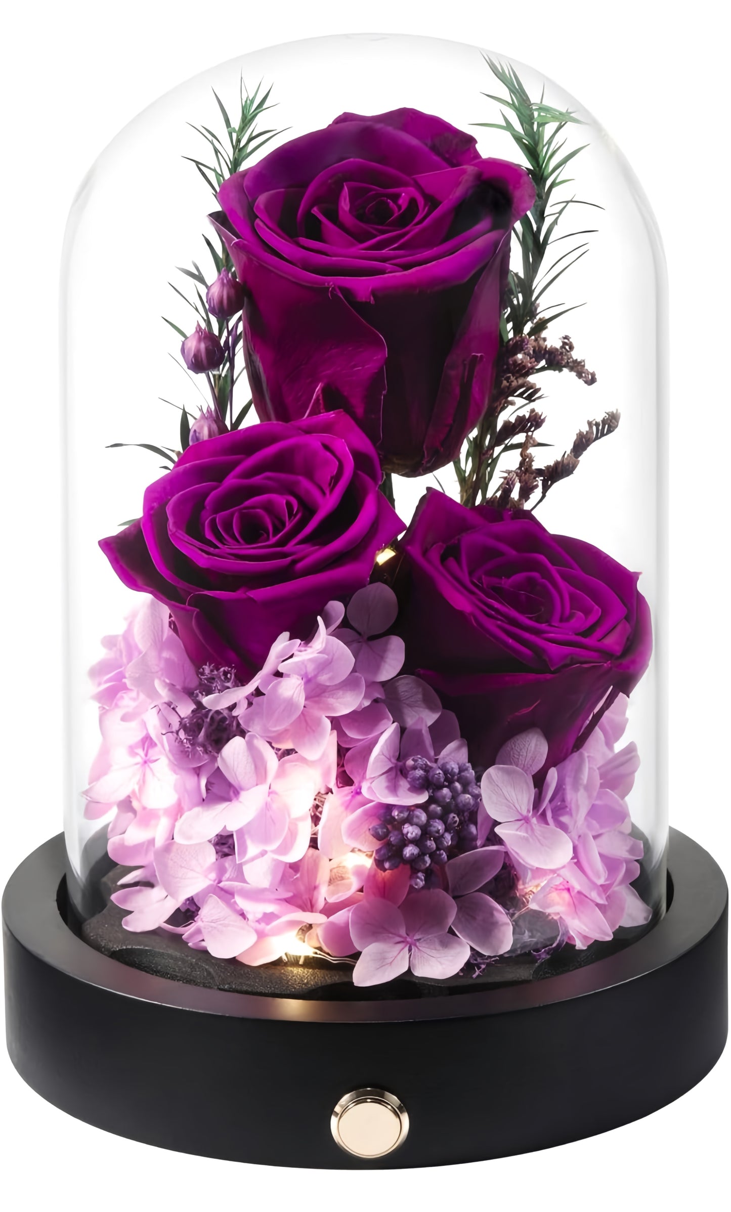 100% Real Preserved Flowers in Glass Dome with LED, Red Roses for Delivery