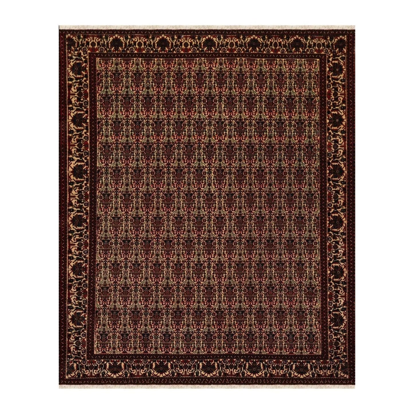 6x9 Ivory, Rust Hand Knotted 100% Wool Vase 200 KPSI Authentic Persian Oriental Area Rug-0