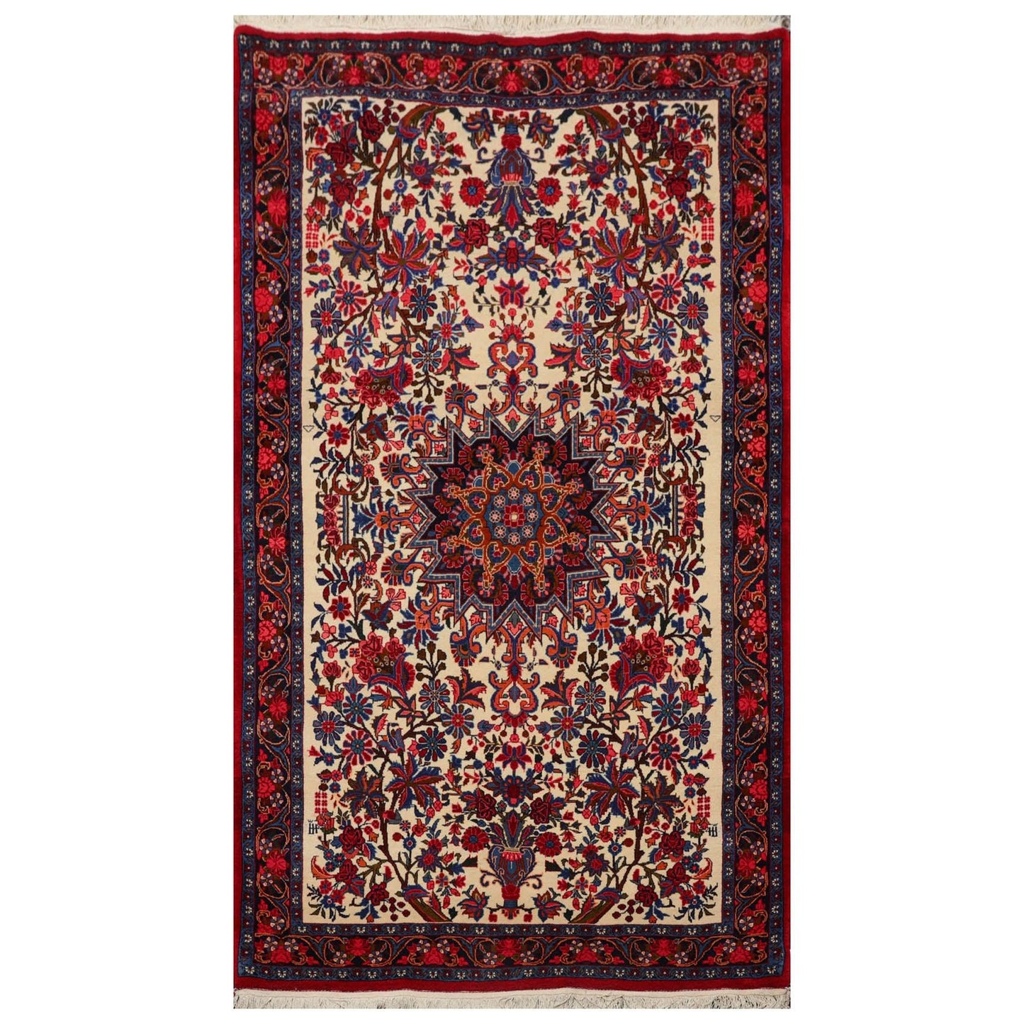 3'10" x 6'10" Authentic Hand Knotted 100% Wool Bidjar 300 KPSI Area Rug Ivory-0