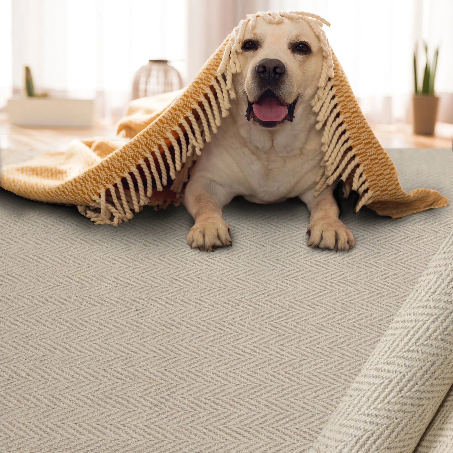 LoomBloom Multi Sizes Beige Hand Woven Contemporary Herringbone New Zealand Wool Oriental Area Rug-0