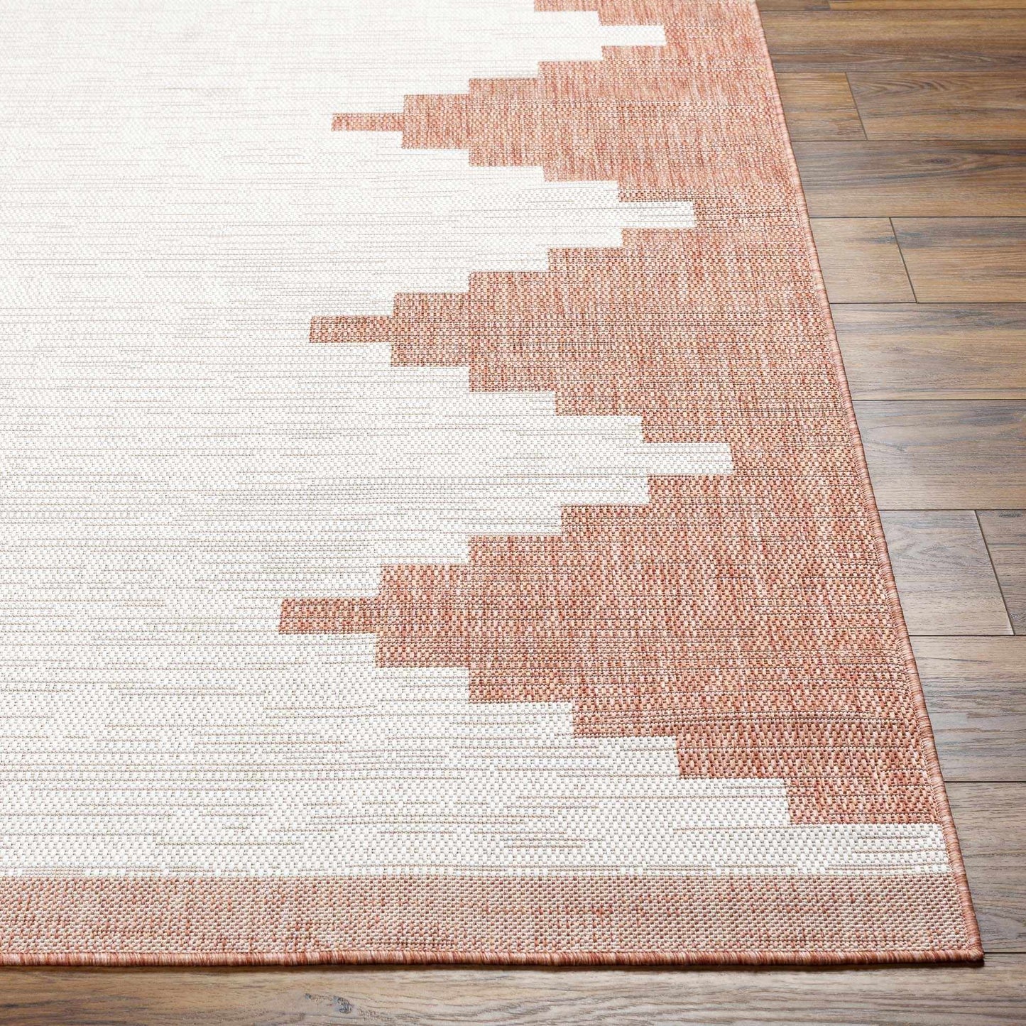 Djugun Peach Fuzz Indoor & Outdoor Area Rug-2